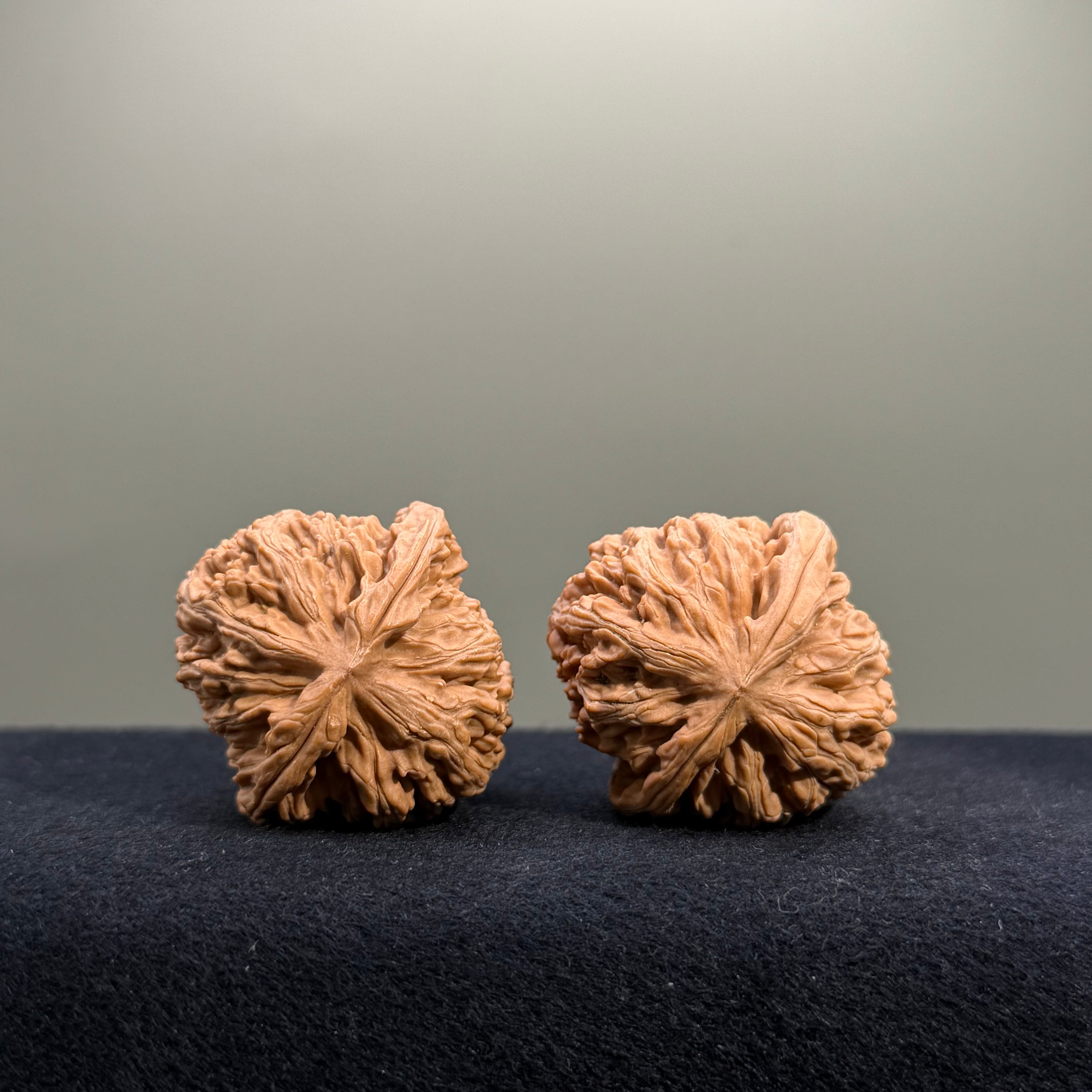Cowboy Wenwan Walnut · 37mm · Natural · Entry Ritual