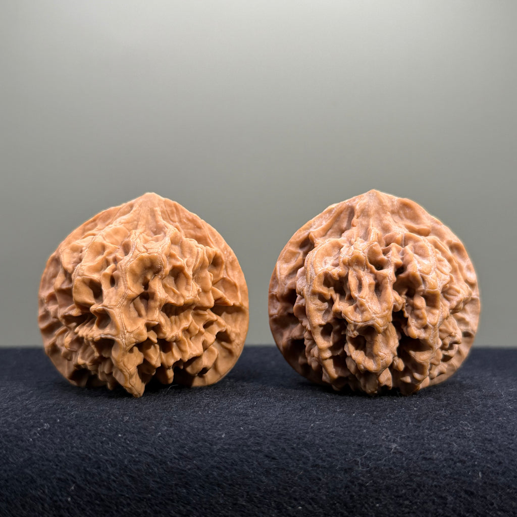 Emperor Wenwan Walnut · 43mm · Natural · Entry Ritual