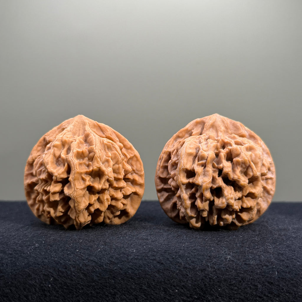 Emperor Wenwan Walnut · 43mm · Natural · Entry Ritual