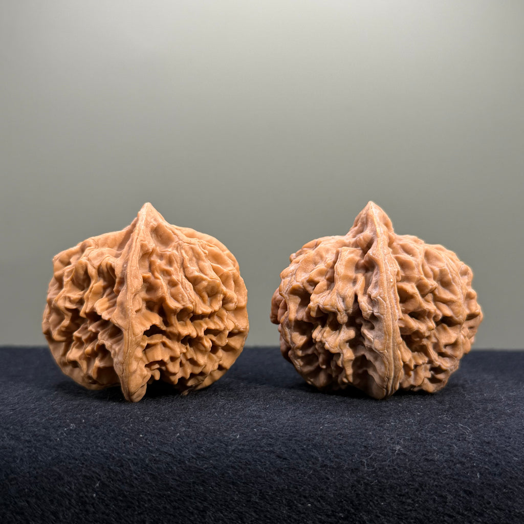 Emperor Wenwan Walnut · 43mm · Natural · Entry Ritual