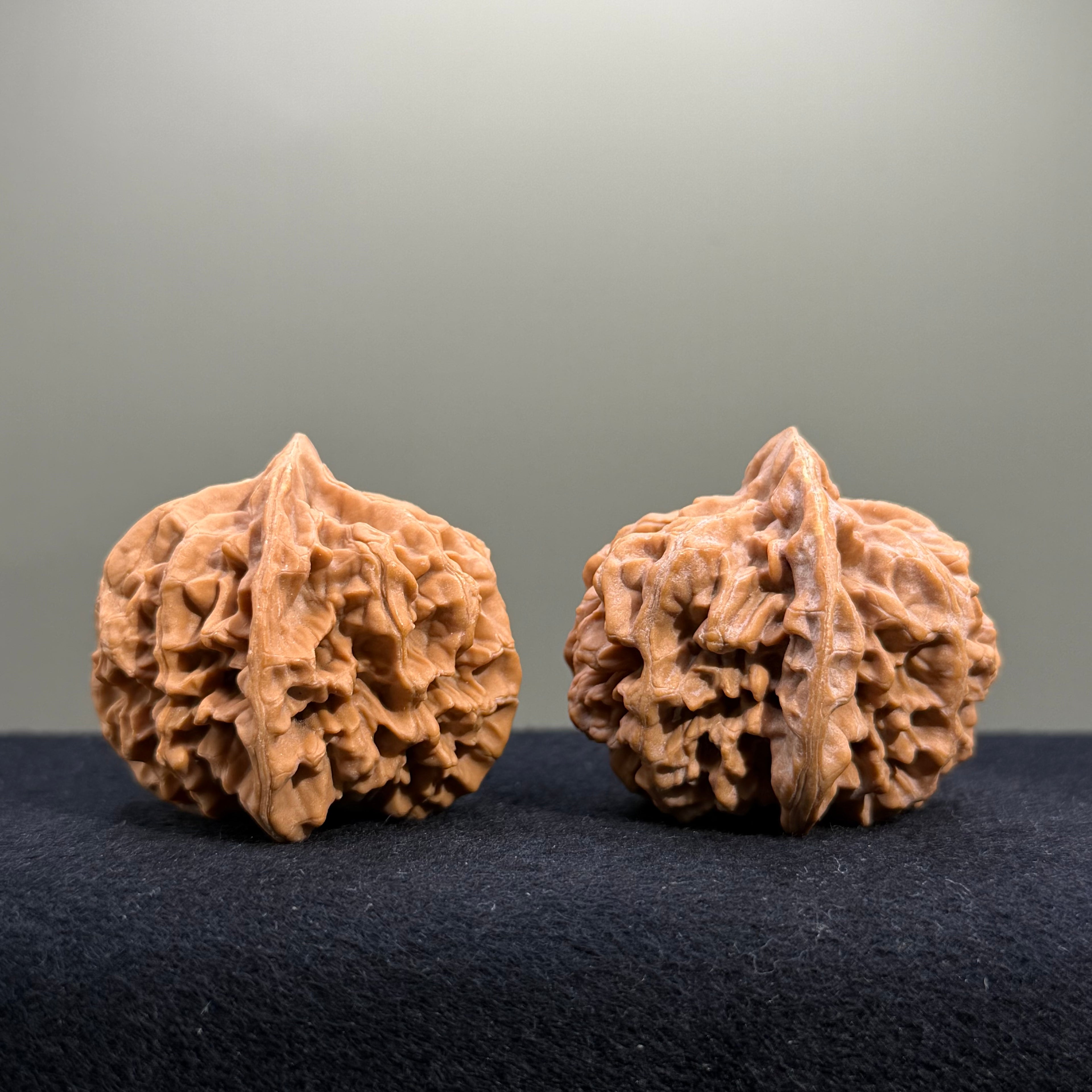 Emperor Wenwan Walnut · 43mm · Natural · Entry Ritual