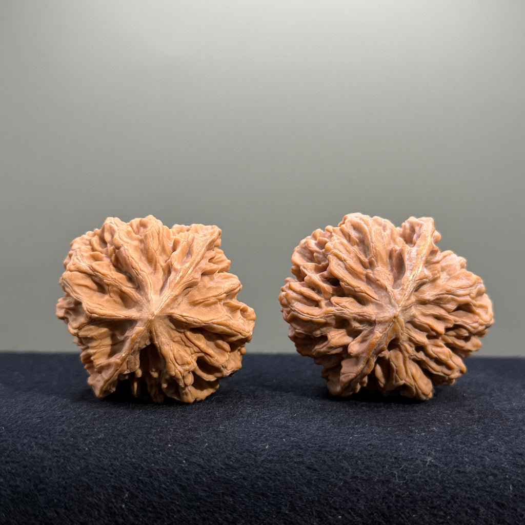 Emperor Wenwan Walnut · 43mm · Natural · Entry Ritual
