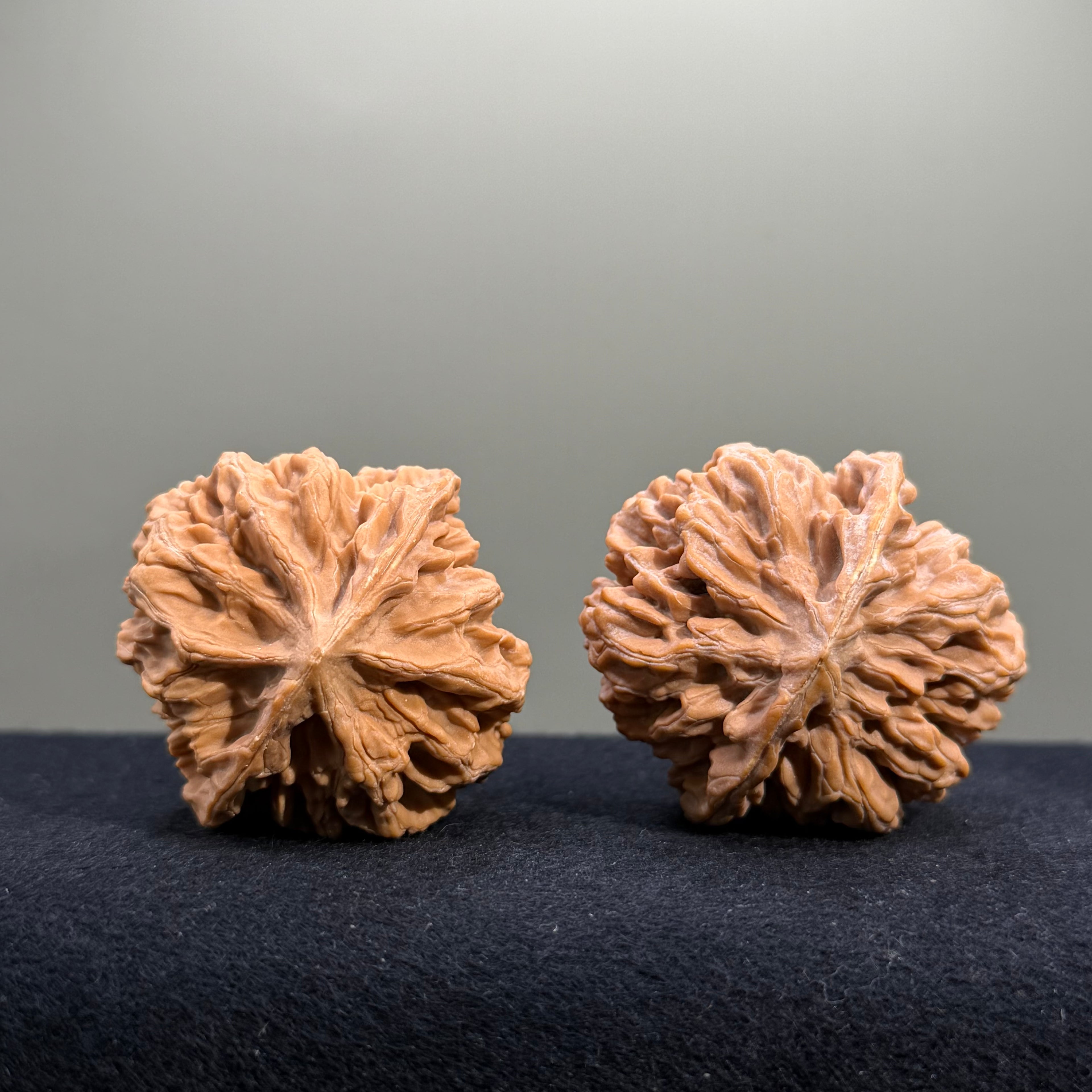 Emperor Wenwan Walnut · 43mm · Natural · Entry Ritual