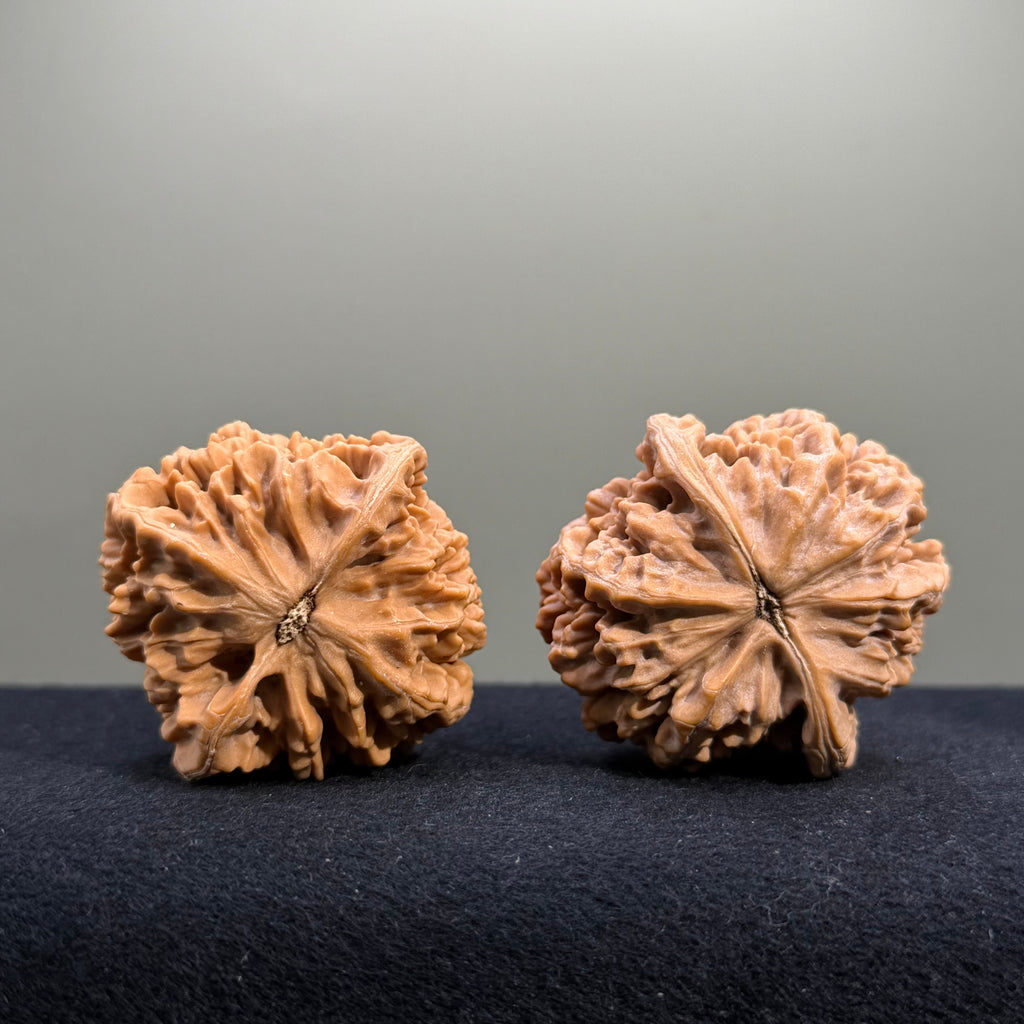 Emperor Wenwan Walnut · 43mm · Natural · Entry Ritual