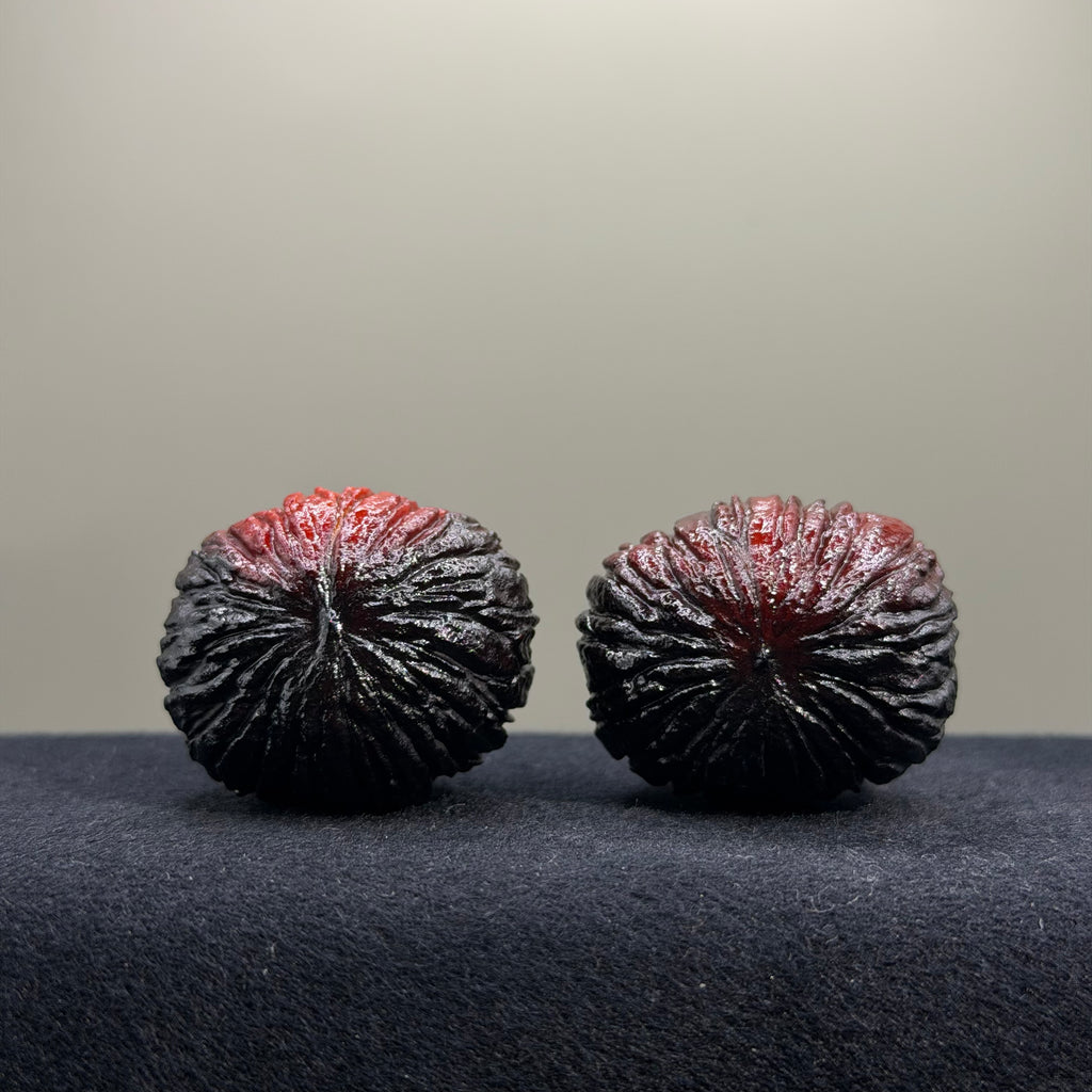 Ghost Rider · Monkey Head Wenwan Walnut · 33mm · Select Ritual