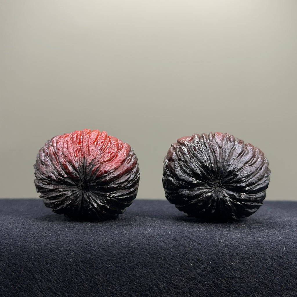 Ghost Rider · Monkey Head Wenwan Walnut · 33mm · Select Ritual
