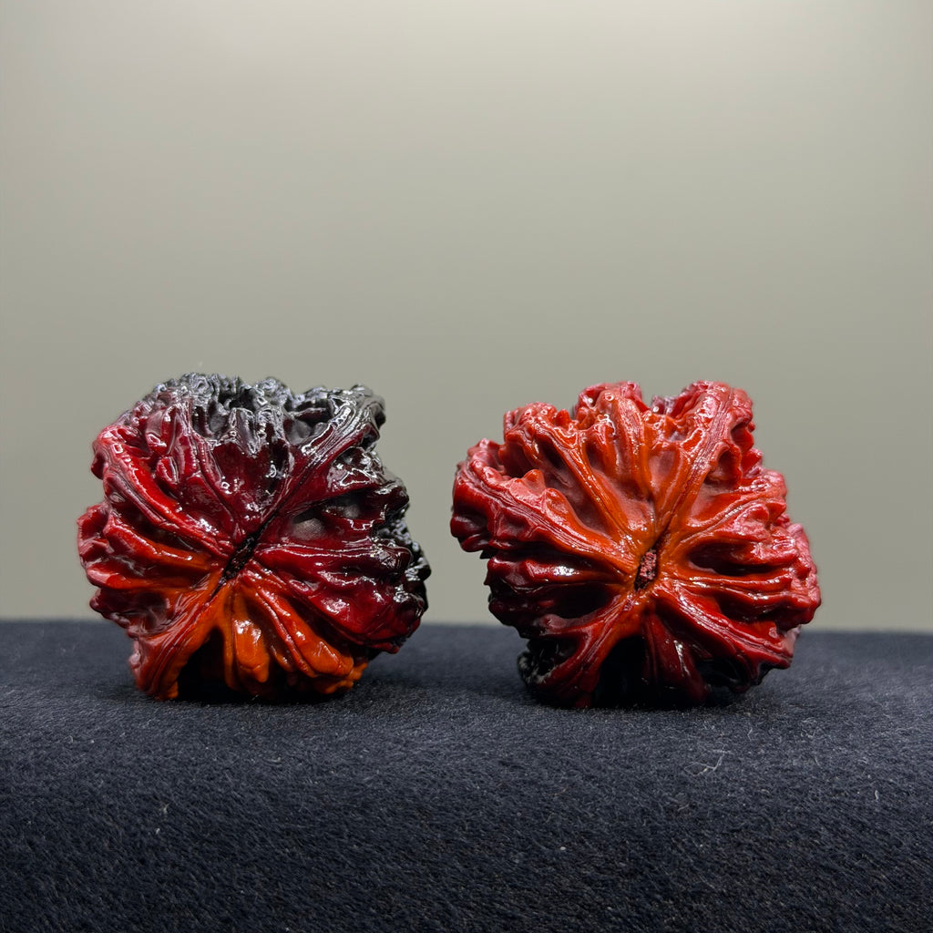 Ghost Rider · Chicken Heart Wenwan Walnut · 40mm · Select Ritual