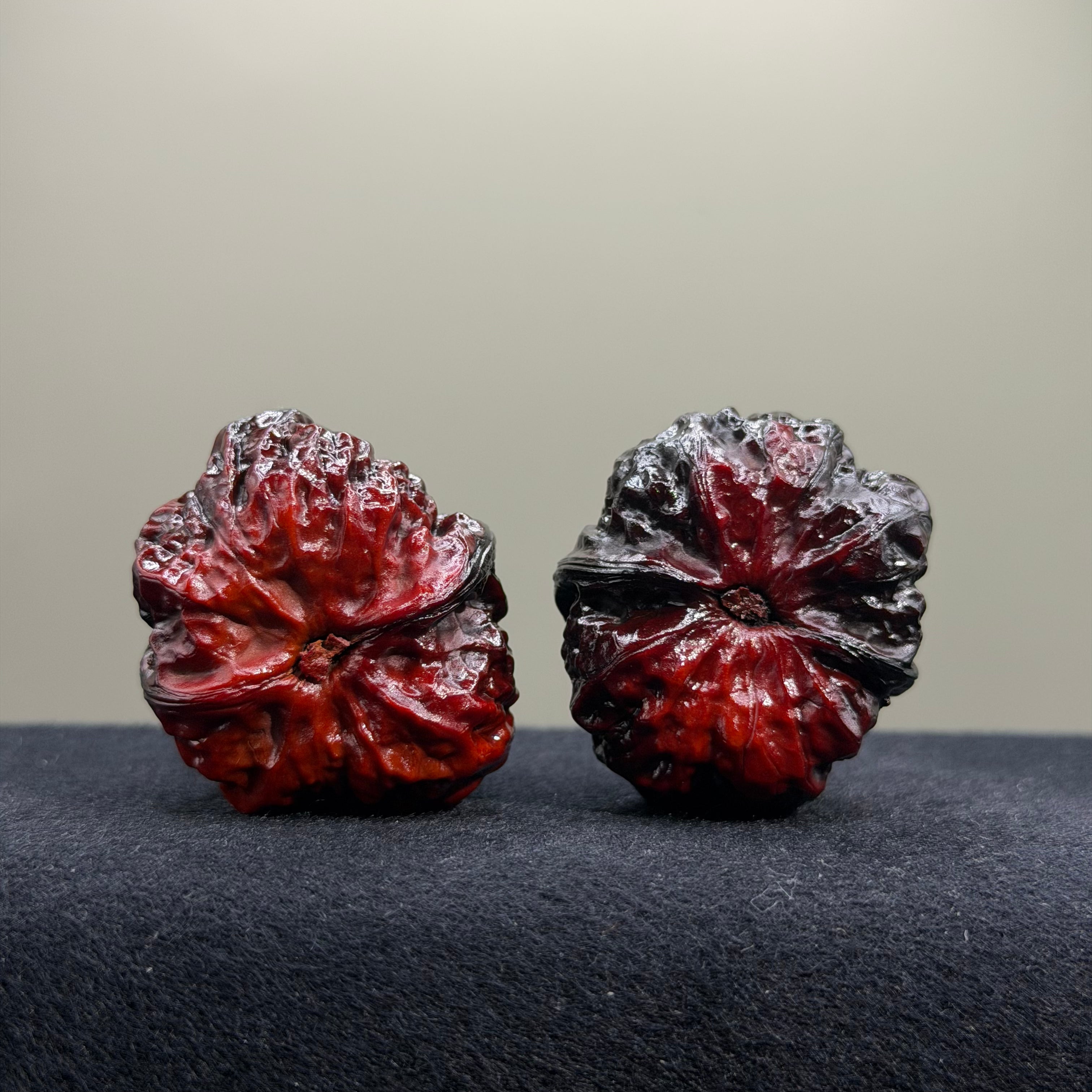 Ghost Rider · Toad Head Ground Buried Wenwan Walnut · 36mm · Select Ritual