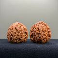 Nanjiang Stone Wenwan Walnut · 38mm · Entry Ritual