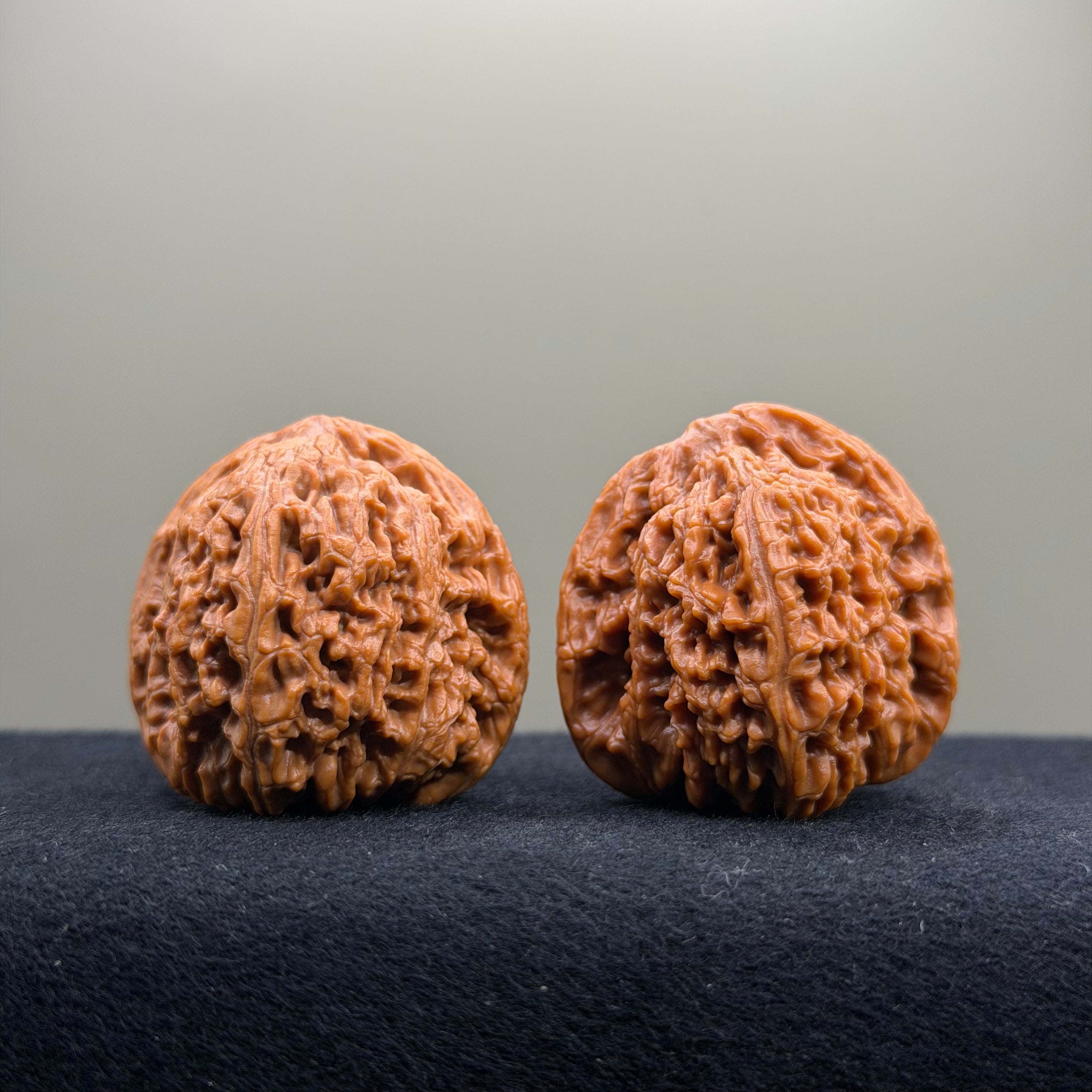 Nanjiang Stone Wenwan Walnut · 38mm · Entry Ritual