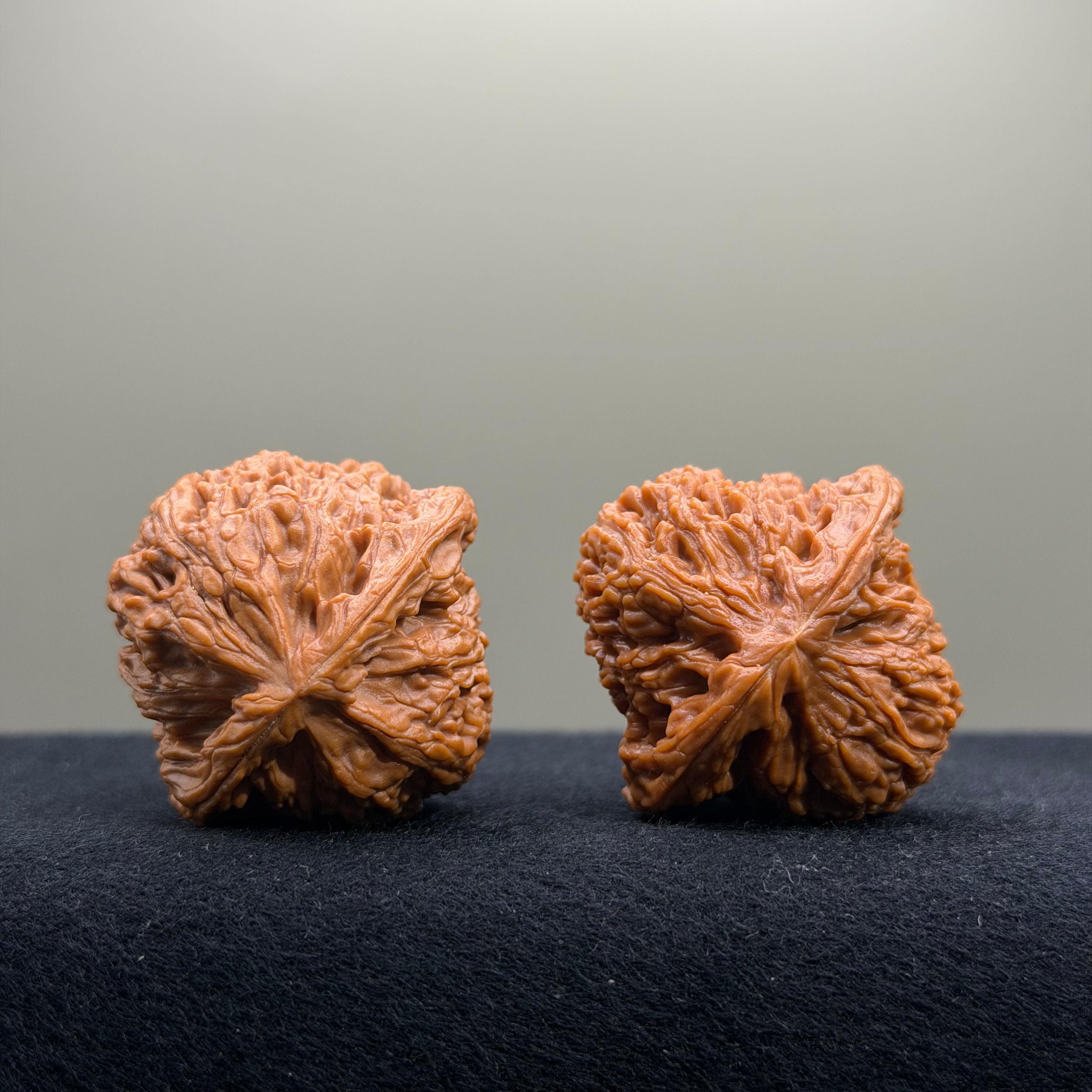 Nanjiang Stone Wenwan Walnut · 38mm · Entry Ritual