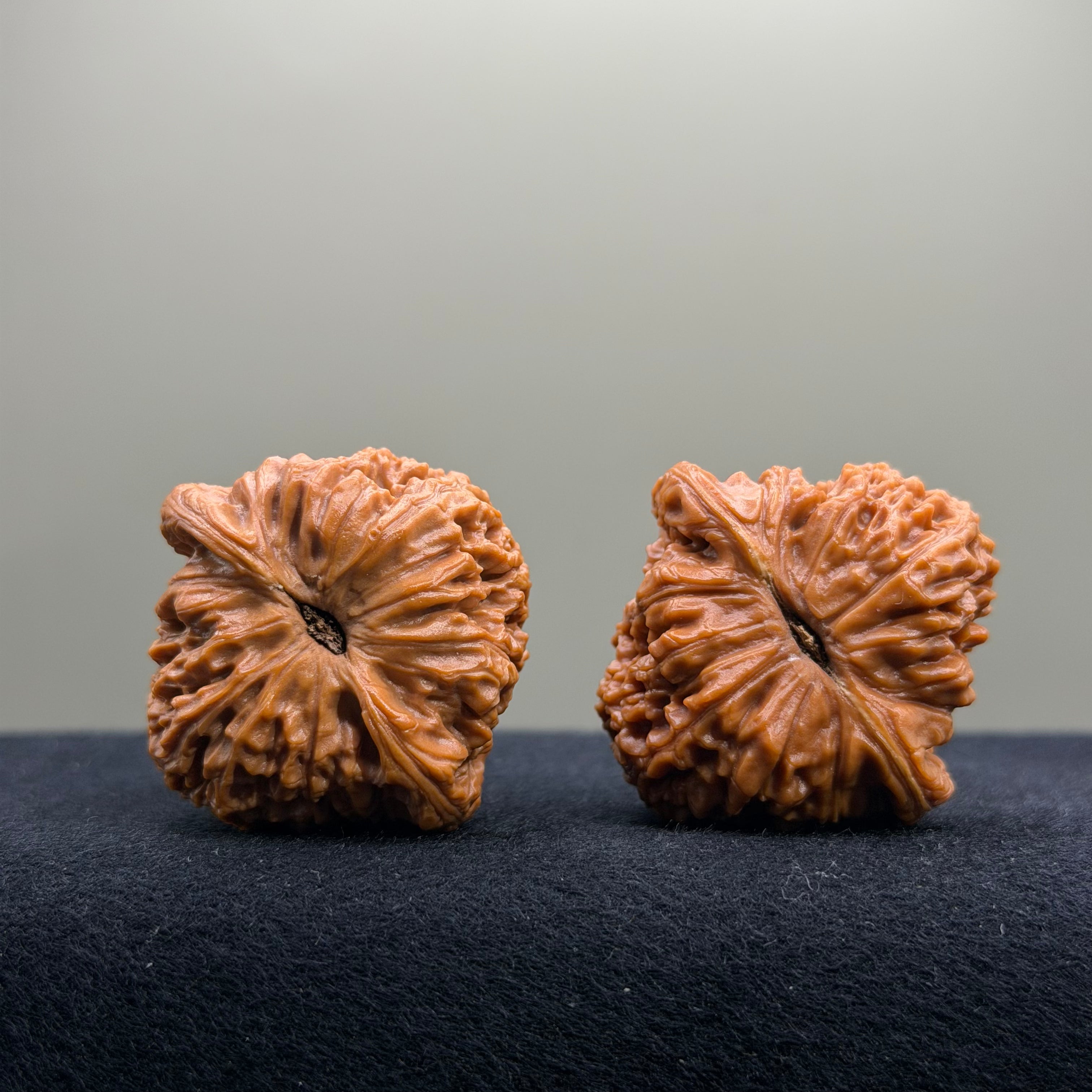 Nanjiang Stone Wenwan Walnut · 38mm · Entry Ritual