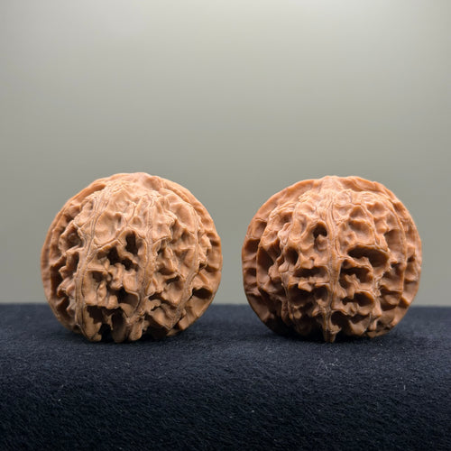 Apple Orchard Wenwan Walnut · 41mm · Natural · Select Ritual