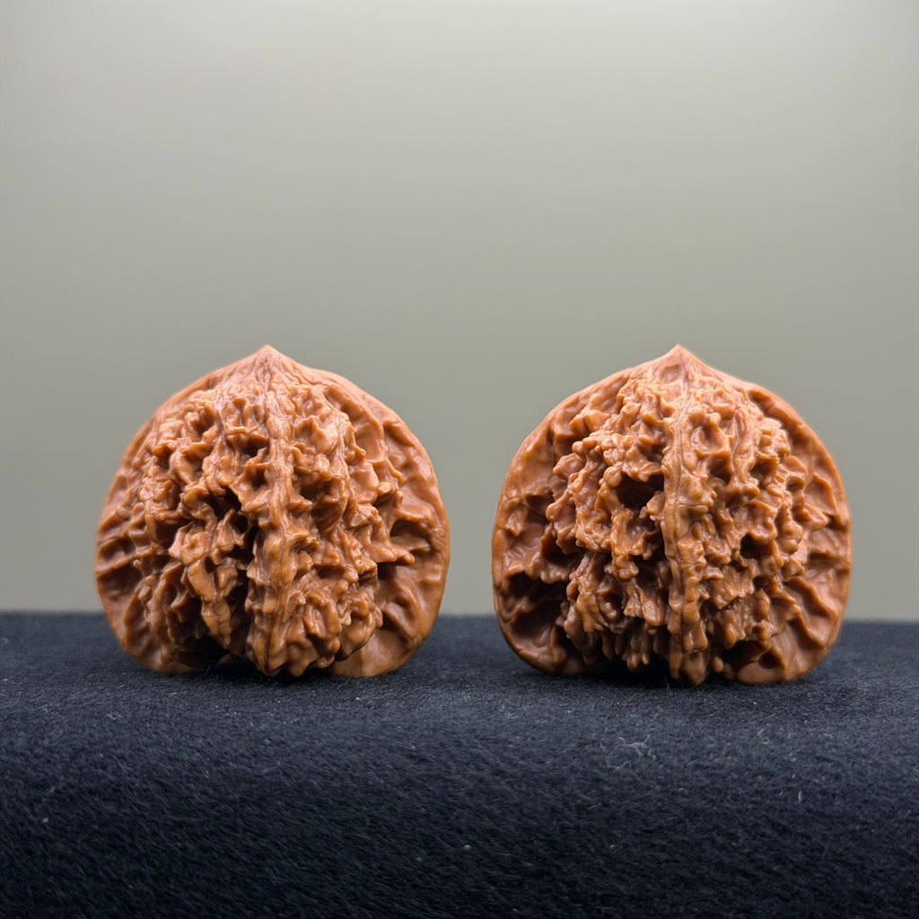 Starry Sky Wenwan Walnut · 38mm · Select Ritual