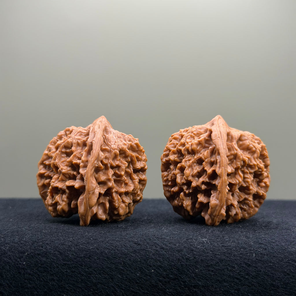 Starry Sky Wenwan Walnut · 38mm · Select Ritual