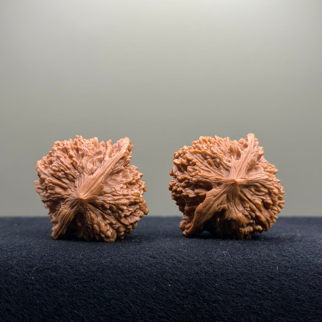 Starry Sky Wenwan Walnut · 38mm · Select Ritual