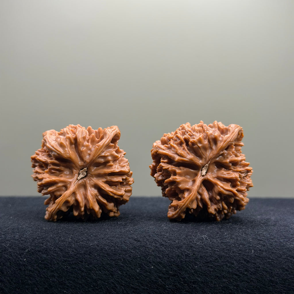 Starry Sky Wenwan Walnut · 38mm · Select Ritual