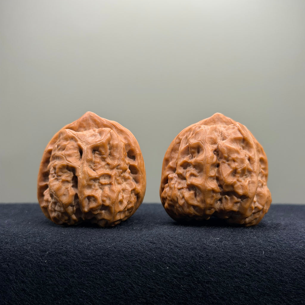 Toad Head Wenwan Walnut · 39mm · Select Ritual