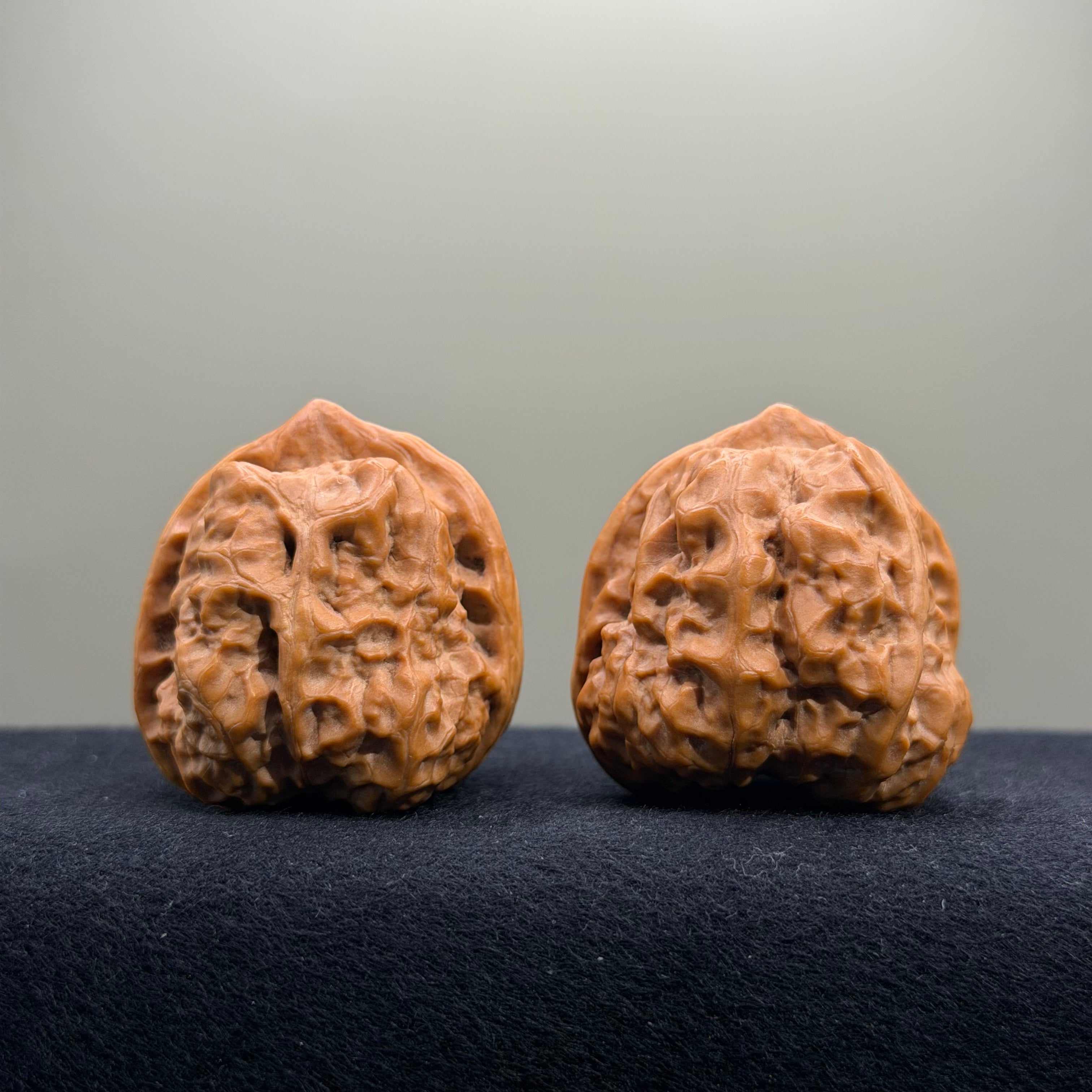 Toad Head Wenwan Walnut · 39mm · Select Ritual