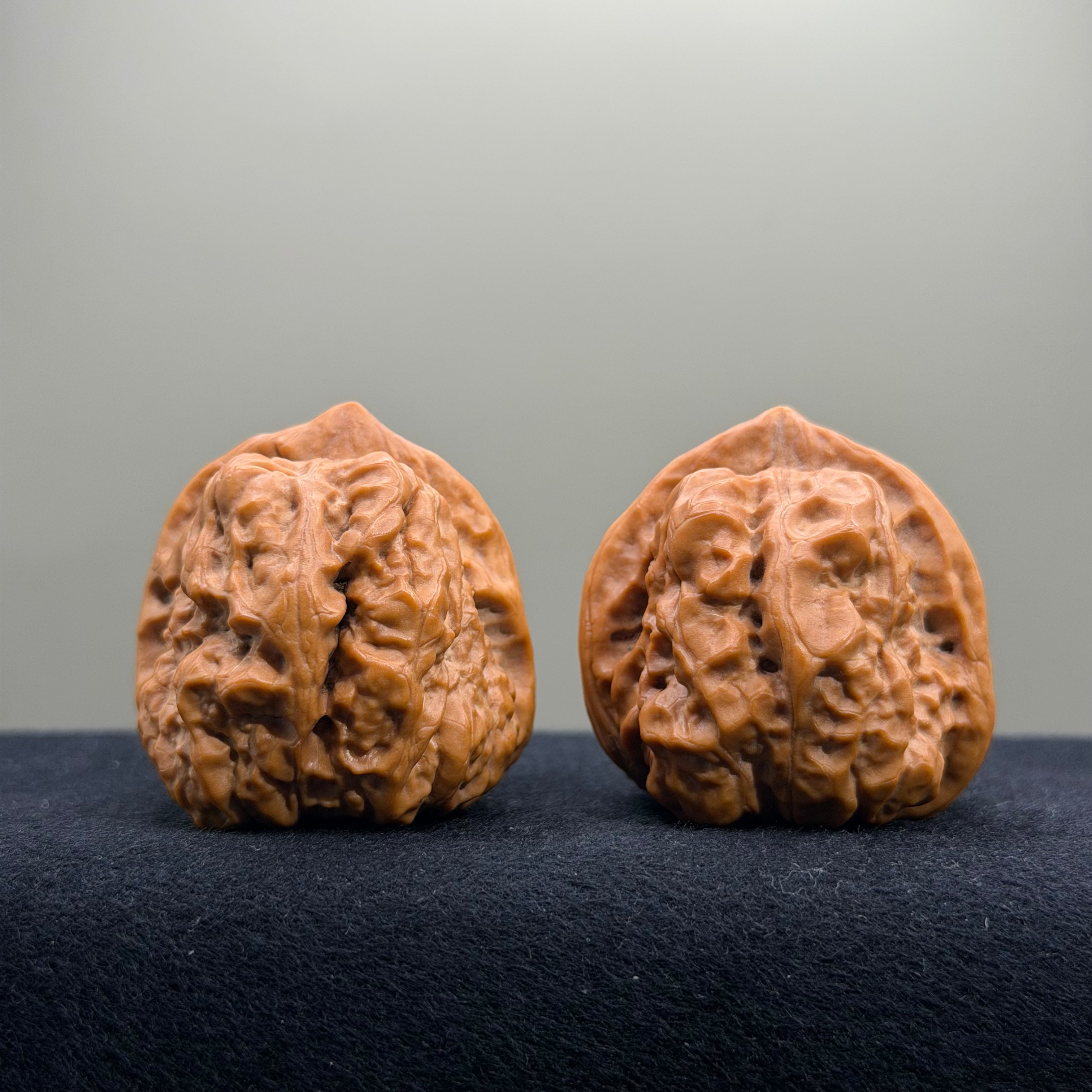 Toad Head Wenwan Walnut · 39mm · Select Ritual