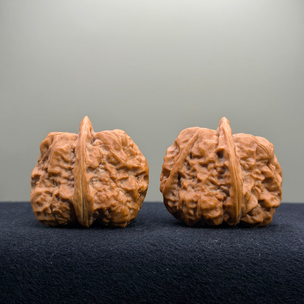 Toad Head Wenwan Walnut · 39mm · Select Ritual
