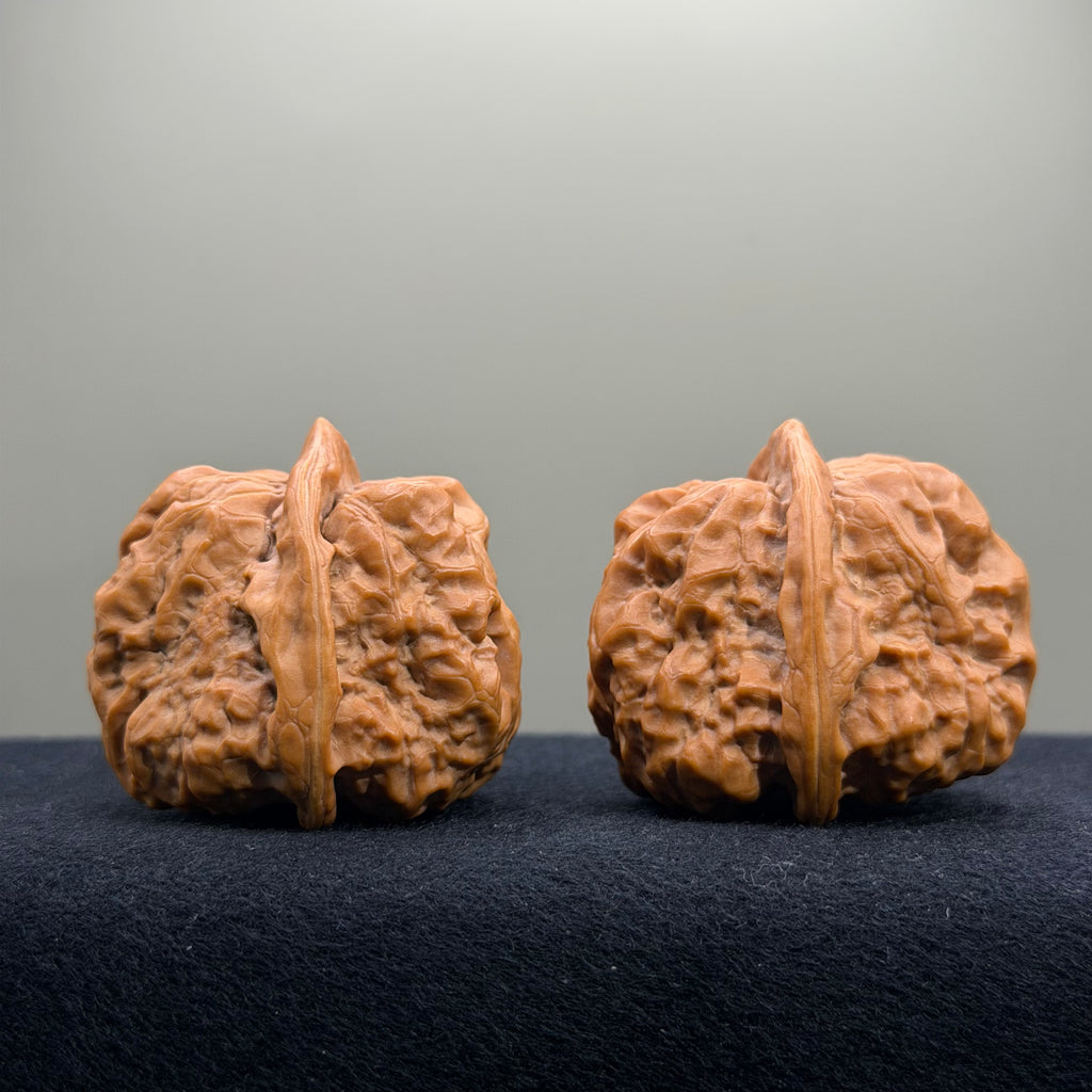 Toad Head Wenwan Walnut · 39mm · Select Ritual