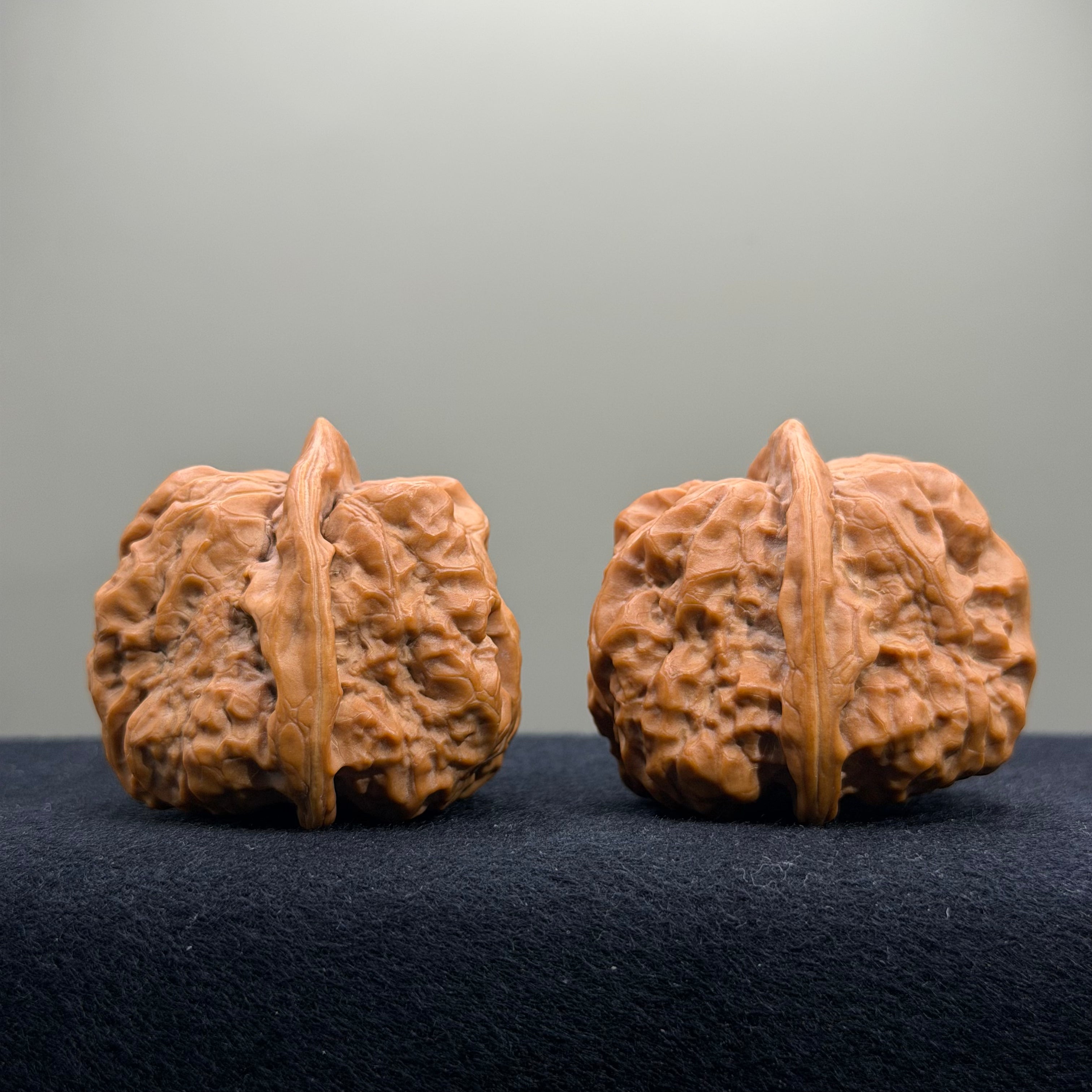 Toad Head Wenwan Walnut · 39mm · Select Ritual