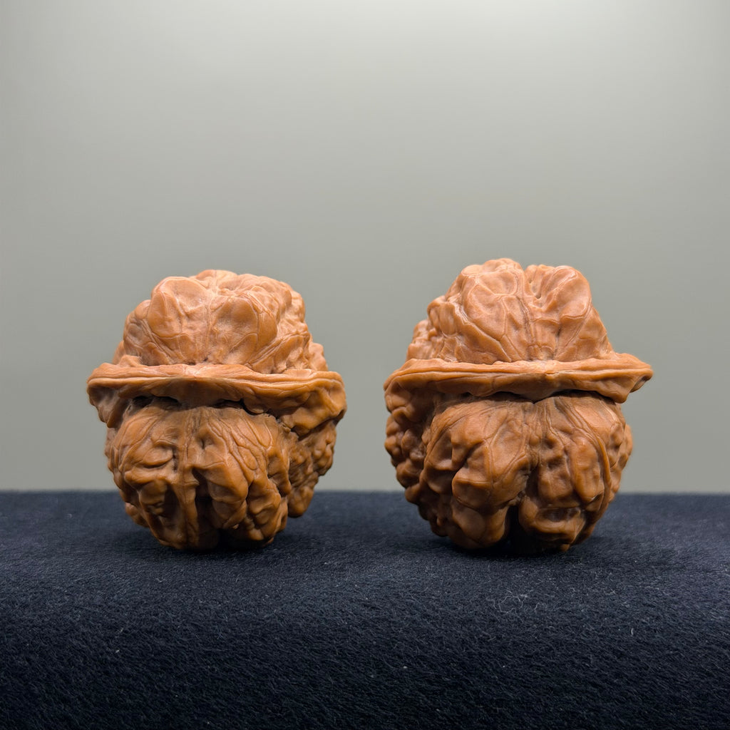 Toad Head Wenwan Walnut · 39mm · Select Ritual
