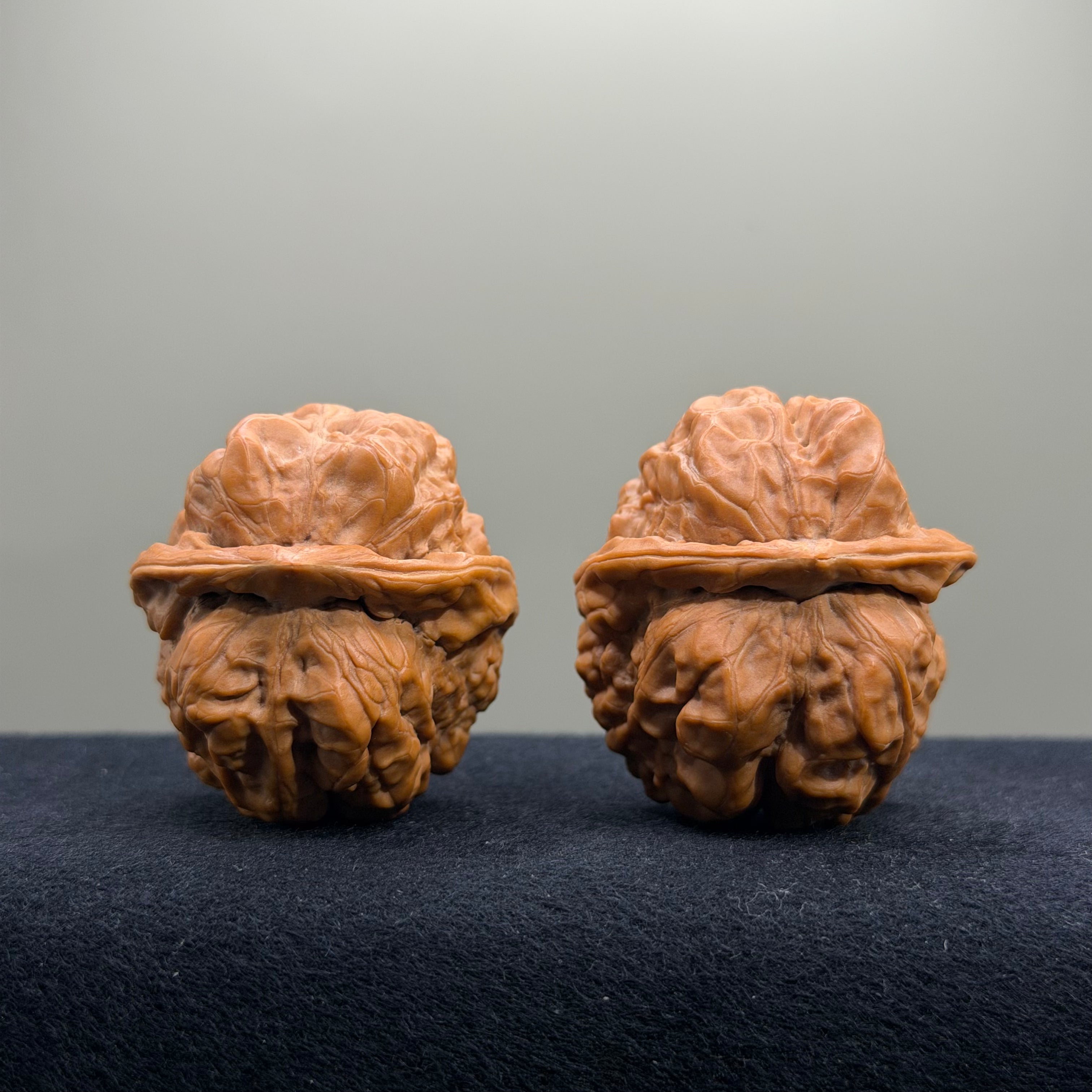 Toad Head Wenwan Walnut · 39mm · Select Ritual
