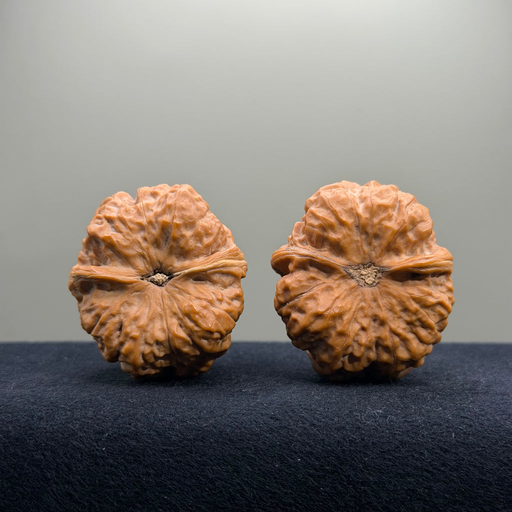Toad Head Wenwan Walnut · 39mm · Select Ritual