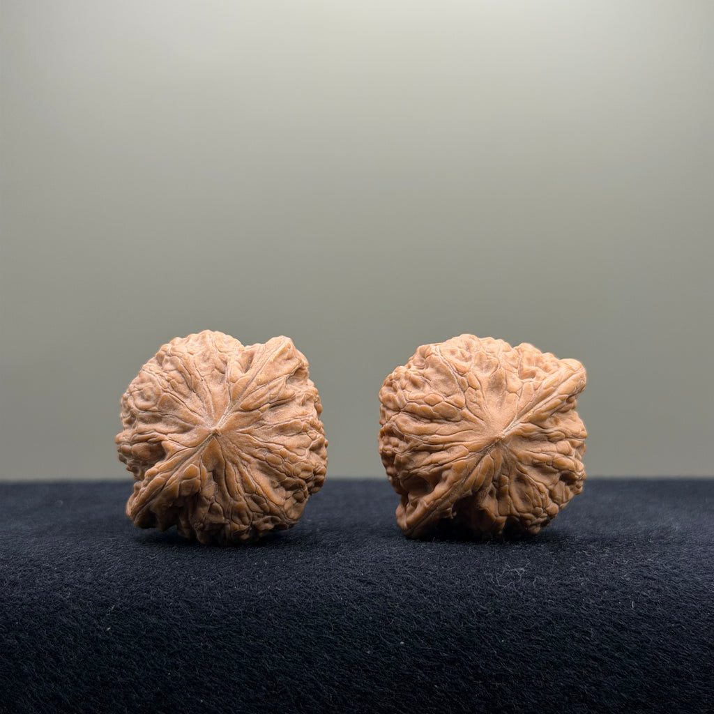 Iron Hammer Wenwan Walnut · 34mm · Natural · Entry Ritual
