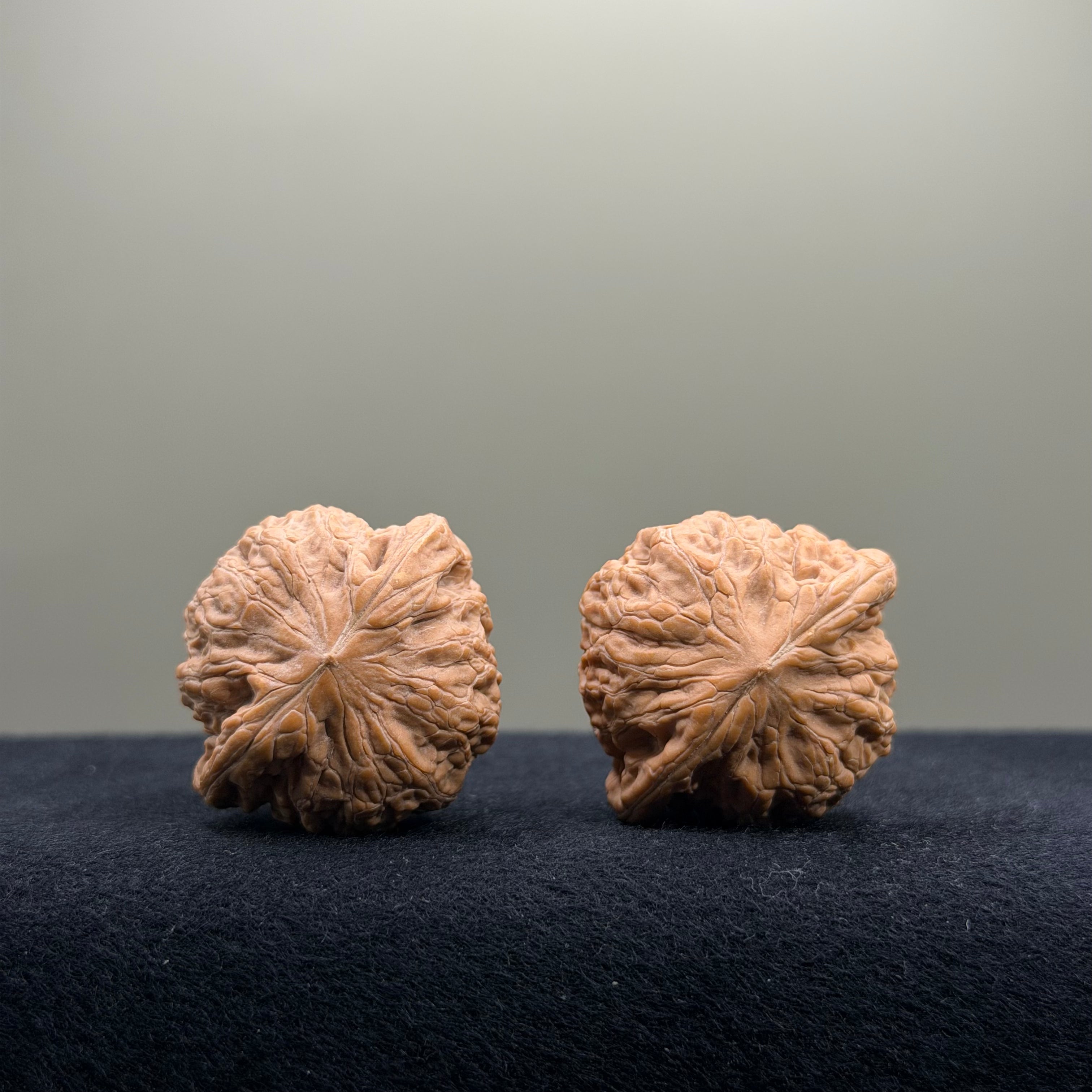 Iron Hammer Wenwan Walnut · 34mm · Natural · Entry Ritual