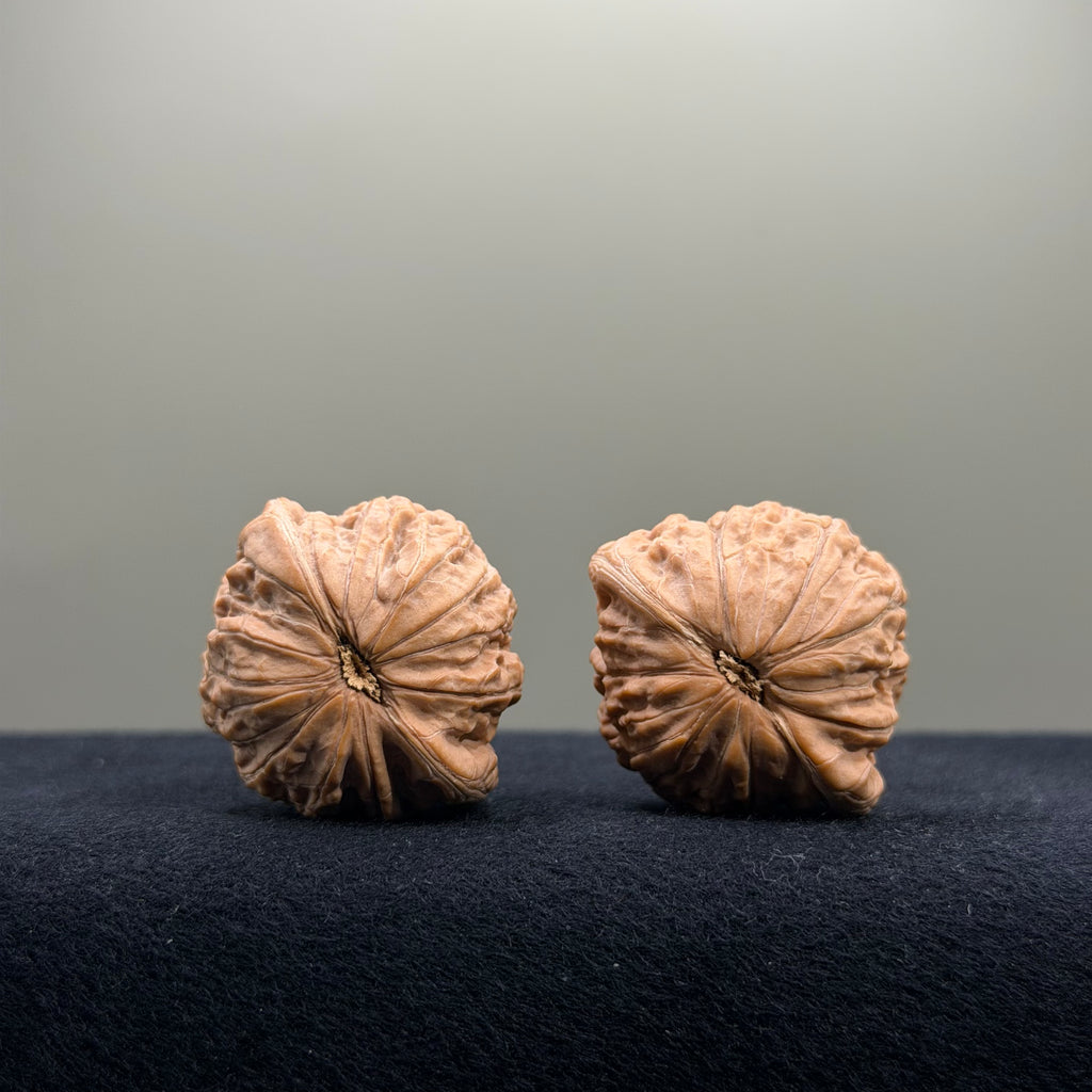 Iron Hammer Wenwan Walnut · 34mm · Natural · Entry Ritual