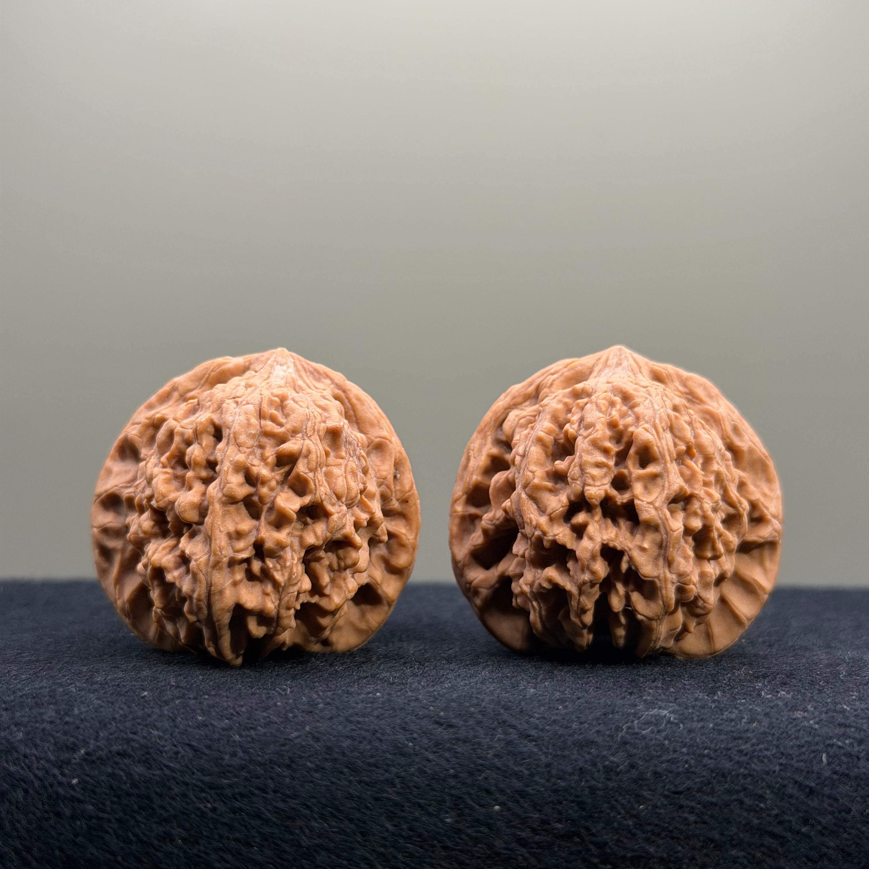 Starry Sky Wenwan Walnut · 36mm · Natural · Entry Ritual
