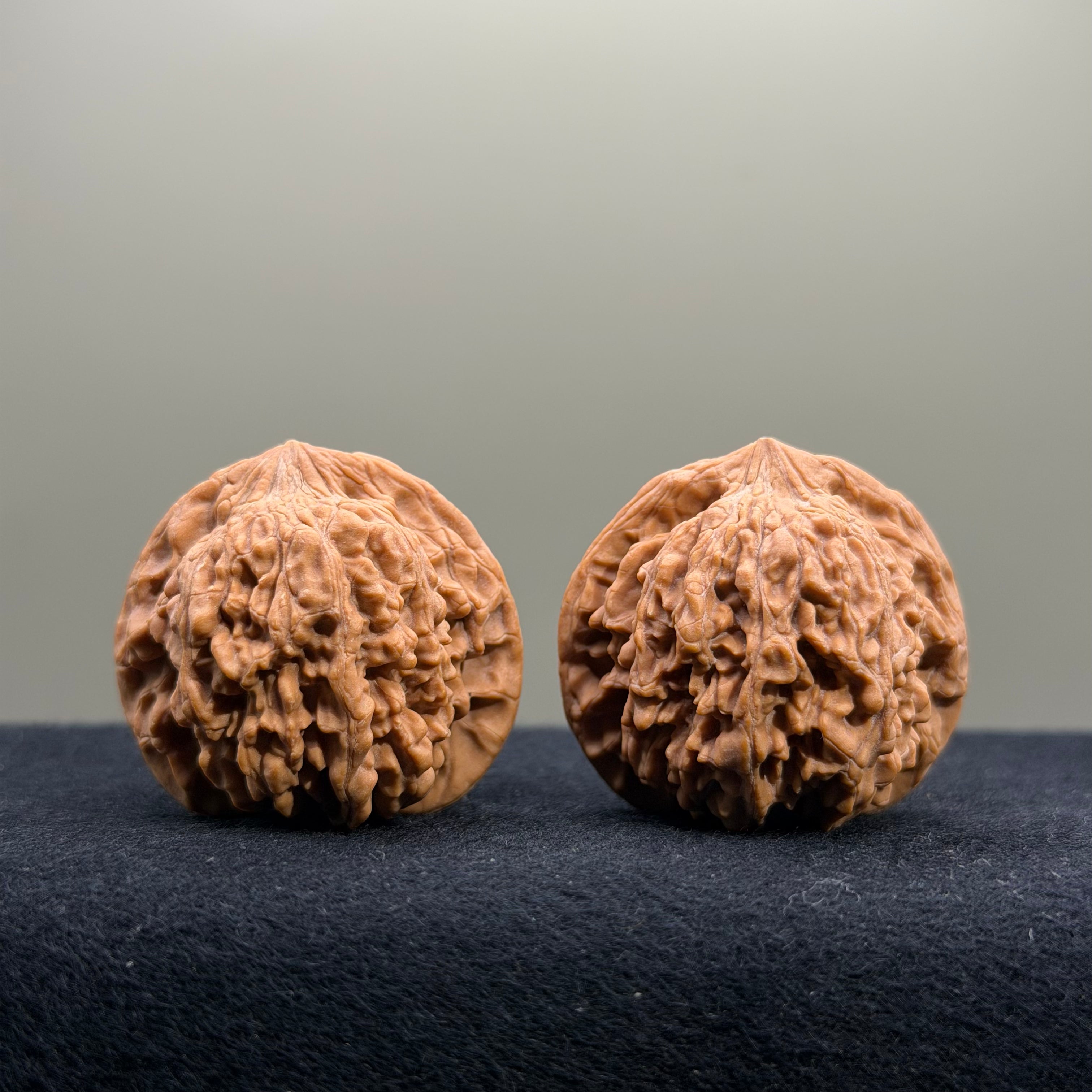 Starry Sky Wenwan Walnut · 36mm · Natural · Entry Ritual