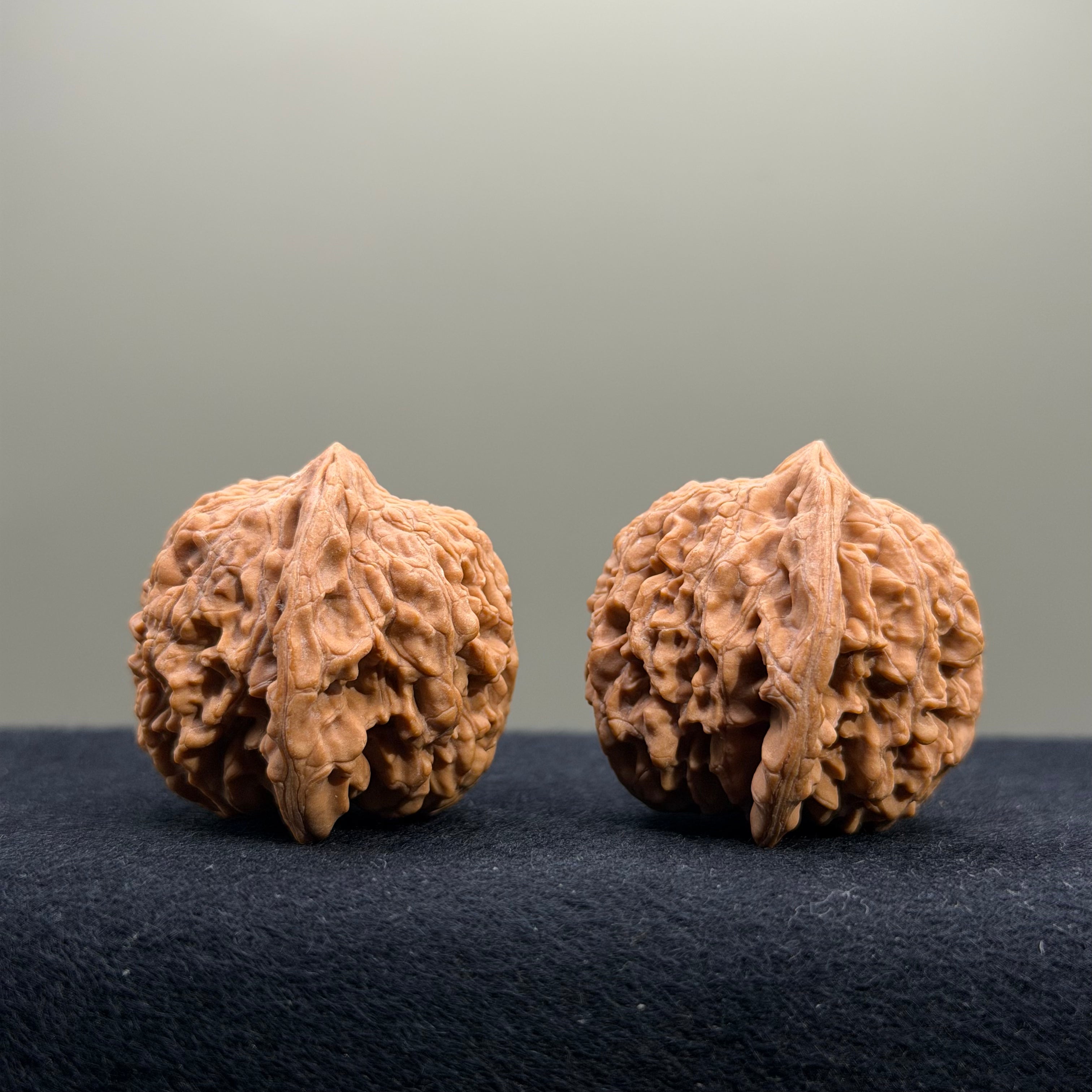 Starry Sky Wenwan Walnut · 36mm · Natural · Entry Ritual