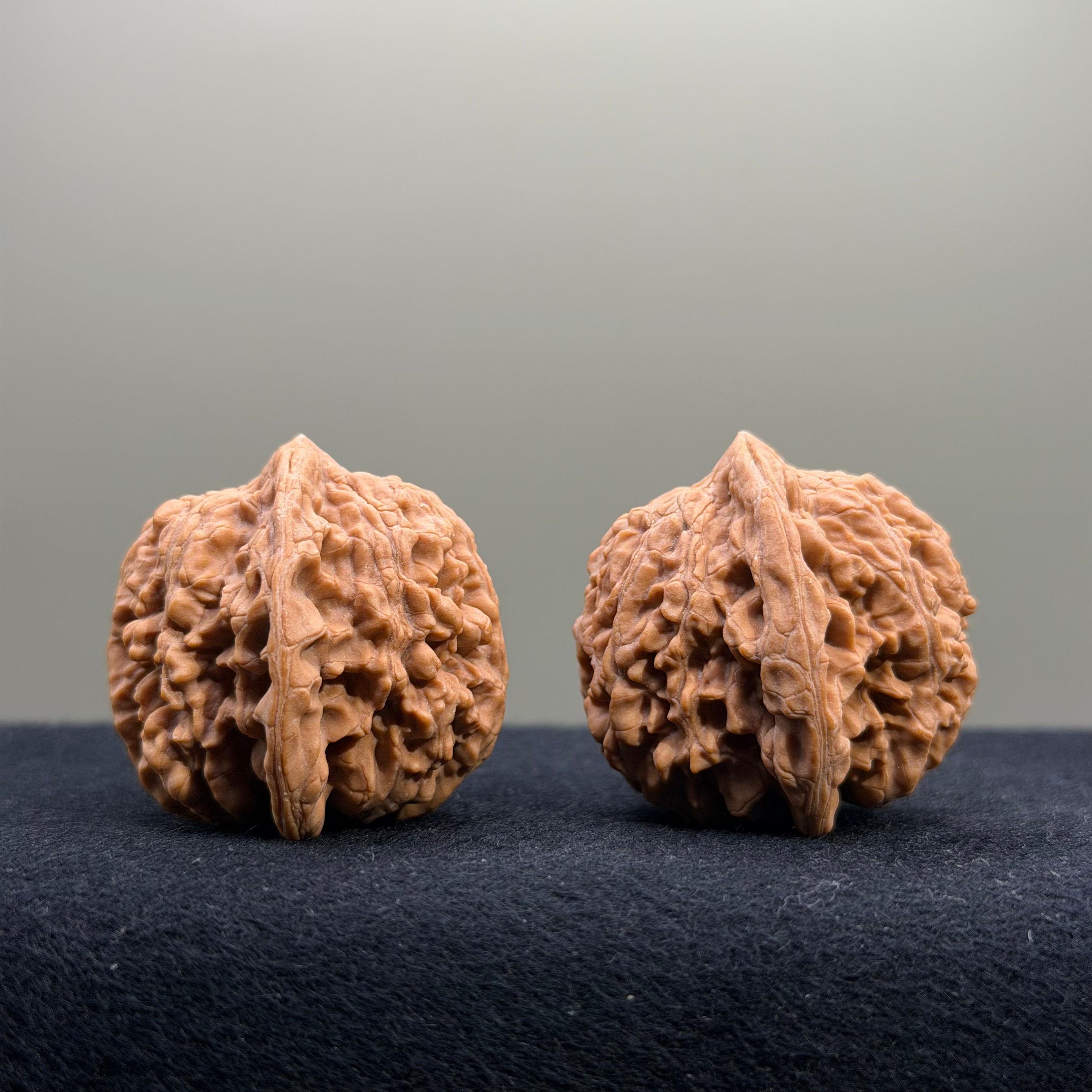 Starry Sky Wenwan Walnut · 36mm · Natural · Entry Ritual