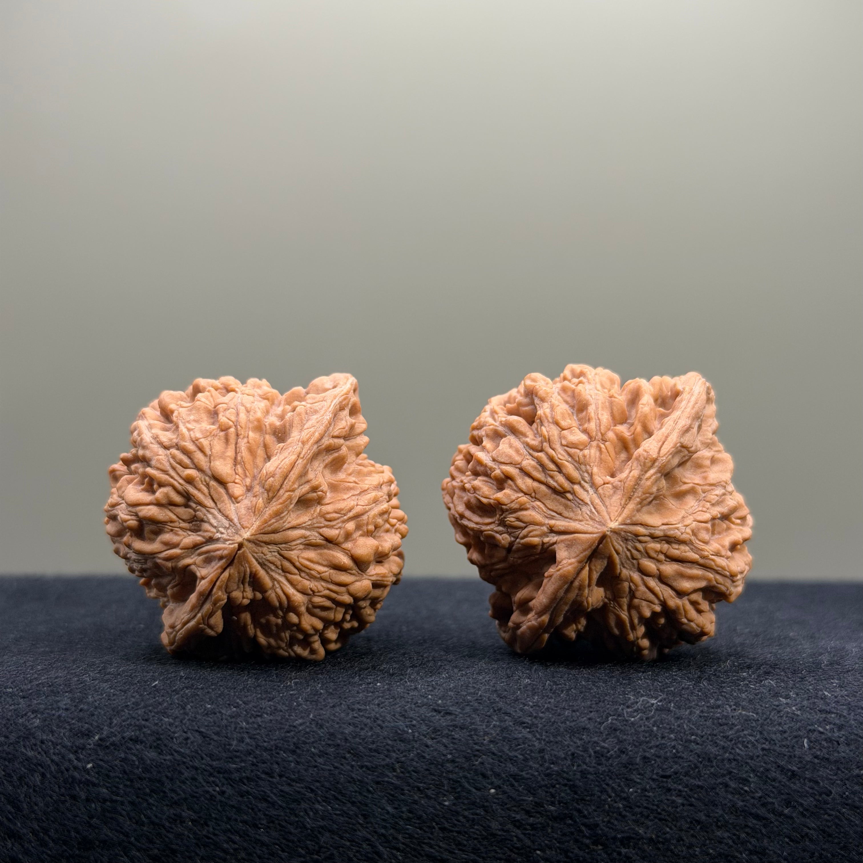 Starry Sky Wenwan Walnut · 36mm · Natural · Entry Ritual