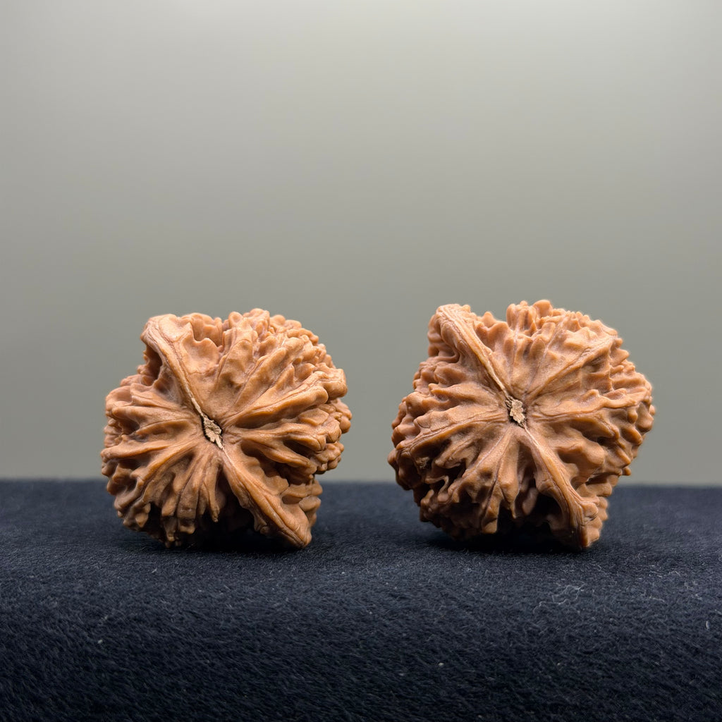 Starry Sky Wenwan Walnut · 36mm · Natural · Entry Ritual