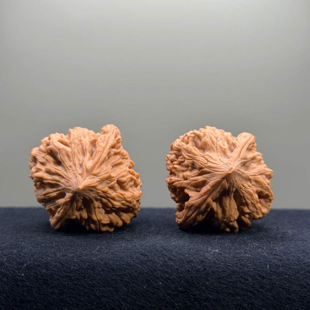 Chicken Heart Wenwan Walnut · 39mm · Natural · Select Ritual