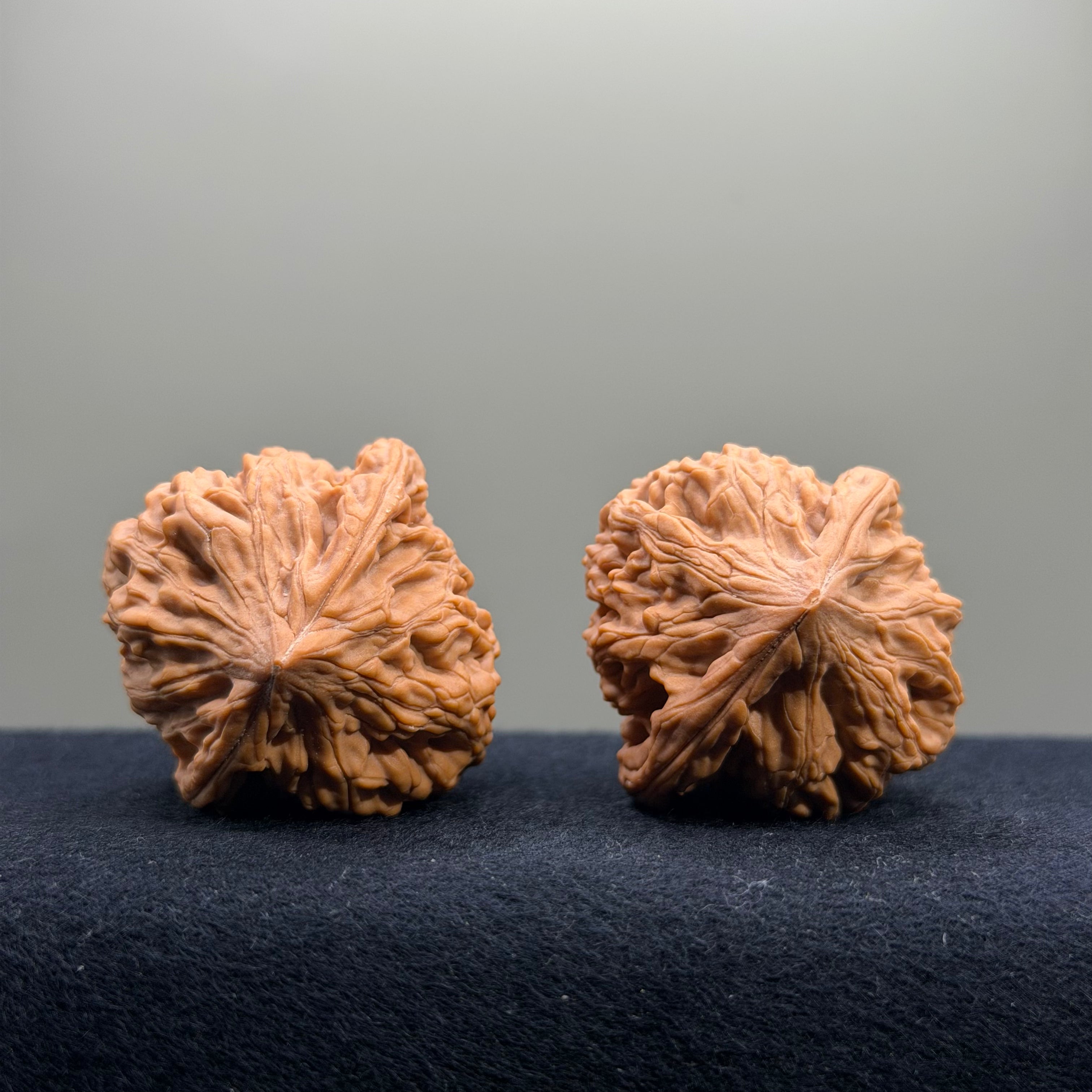 Chicken Heart Wenwan Walnut · 39mm · Natural · Select Ritual