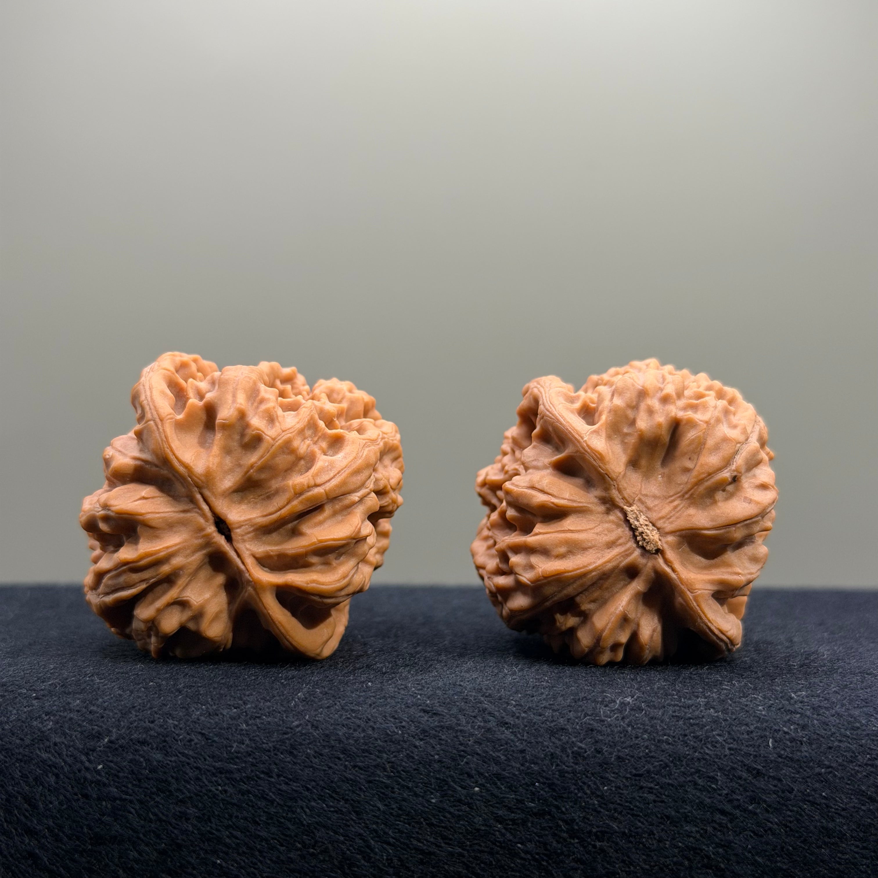 Chicken Heart Wenwan Walnut · 39mm · Natural · Select Ritual