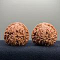 Nanjiang Stone Wenwan Walnut · 42mm · Natural · Select Ritual