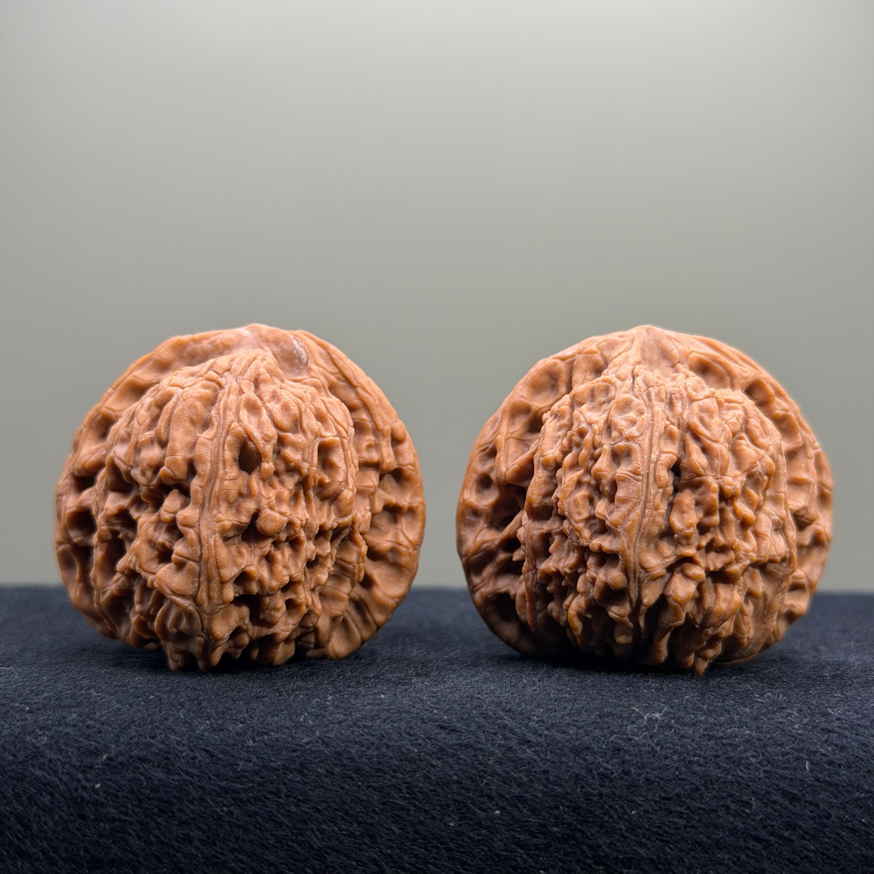 Nanjiang Stone Wenwan Walnut · 42mm · Natural · Select Ritual