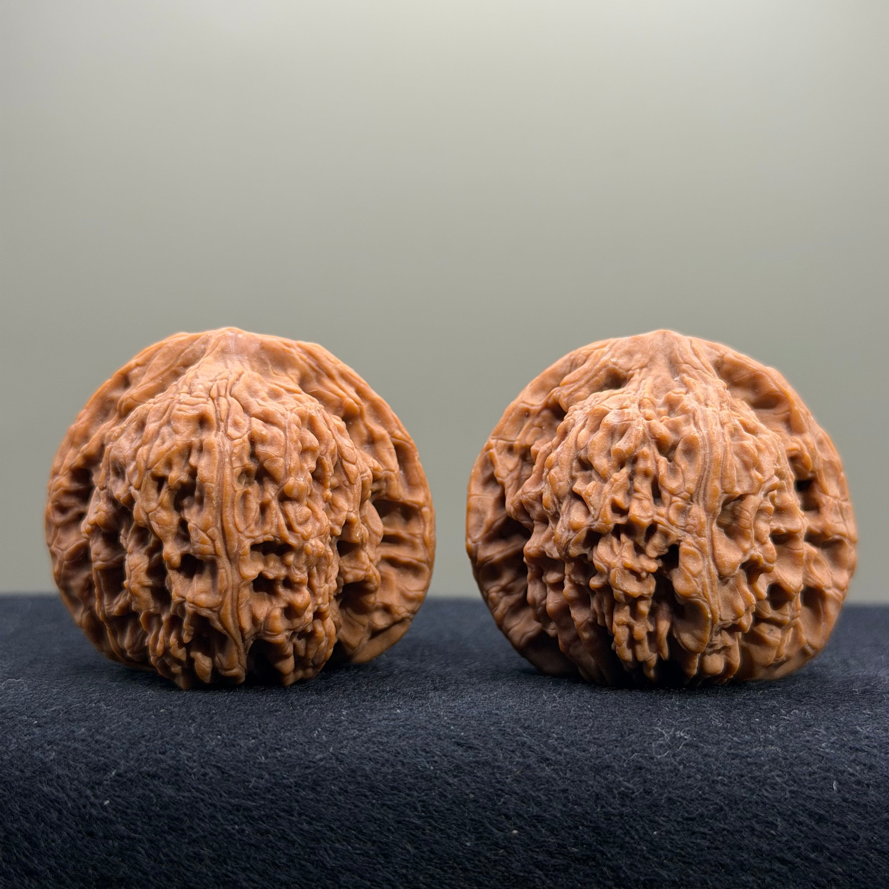 Nanjiang Stone Wenwan Walnut · 42mm · Natural · Select Ritual