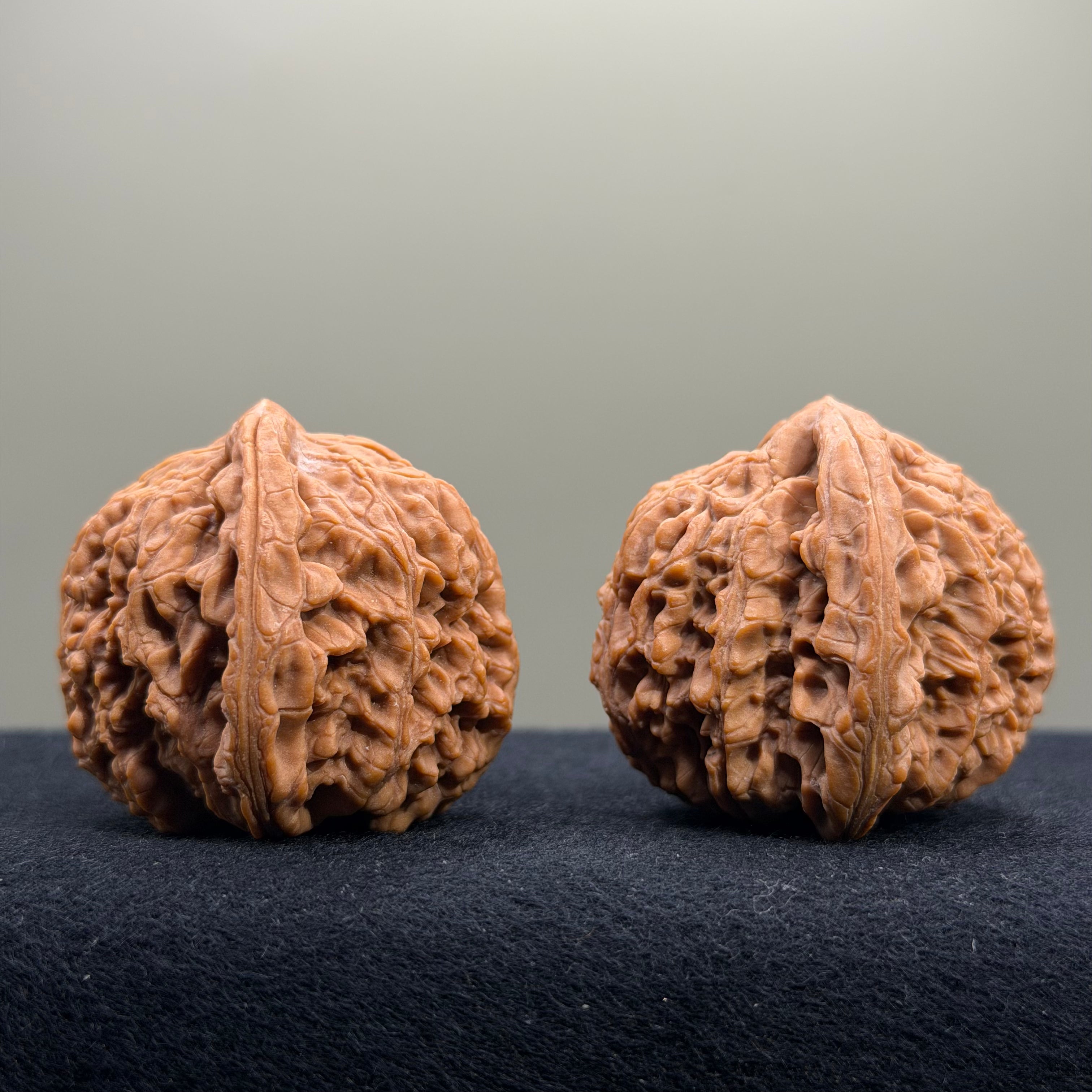 Nanjiang Stone Wenwan Walnut · 42mm · Natural · Select Ritual