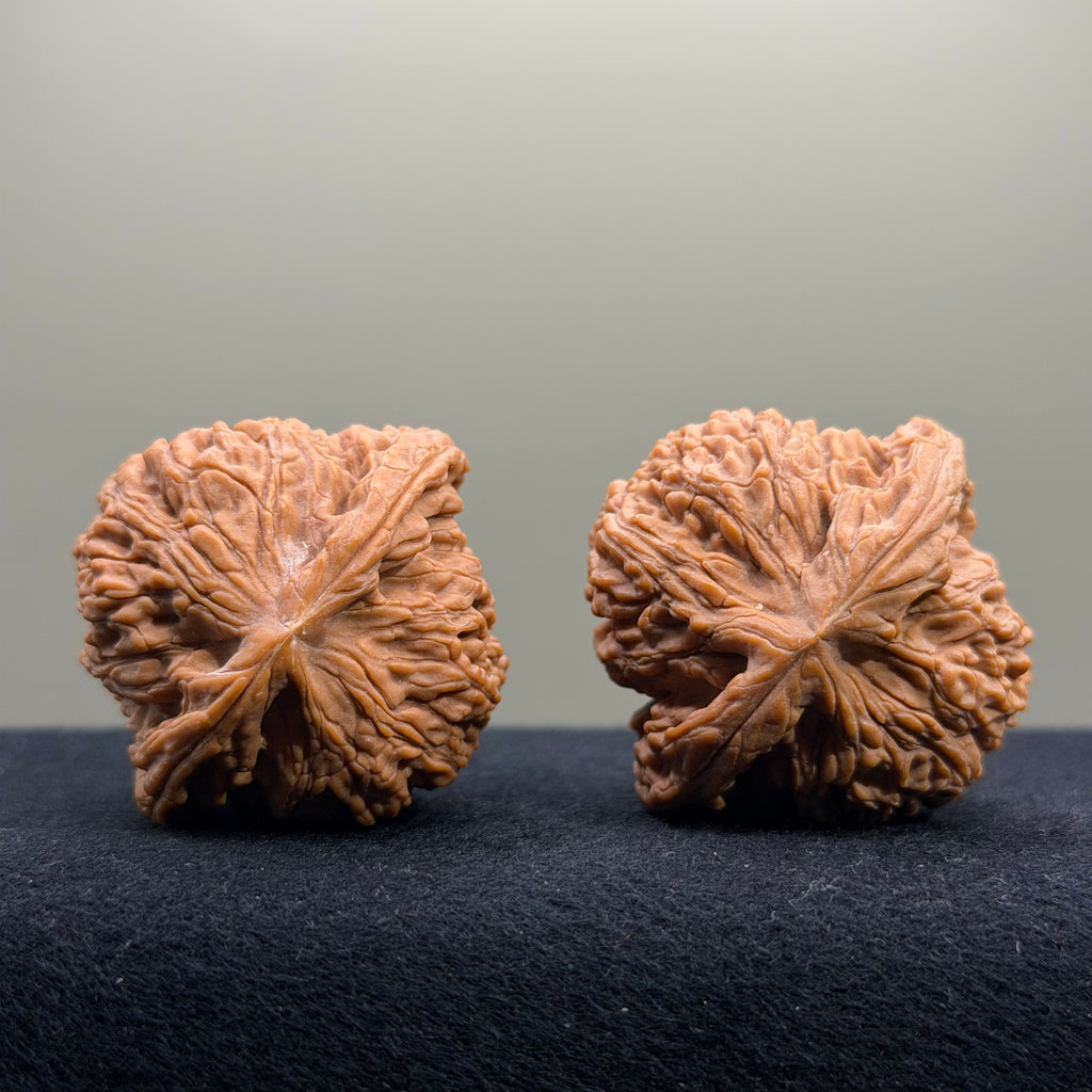 Nanjiang Stone Wenwan Walnut · 42mm · Natural · Select Ritual