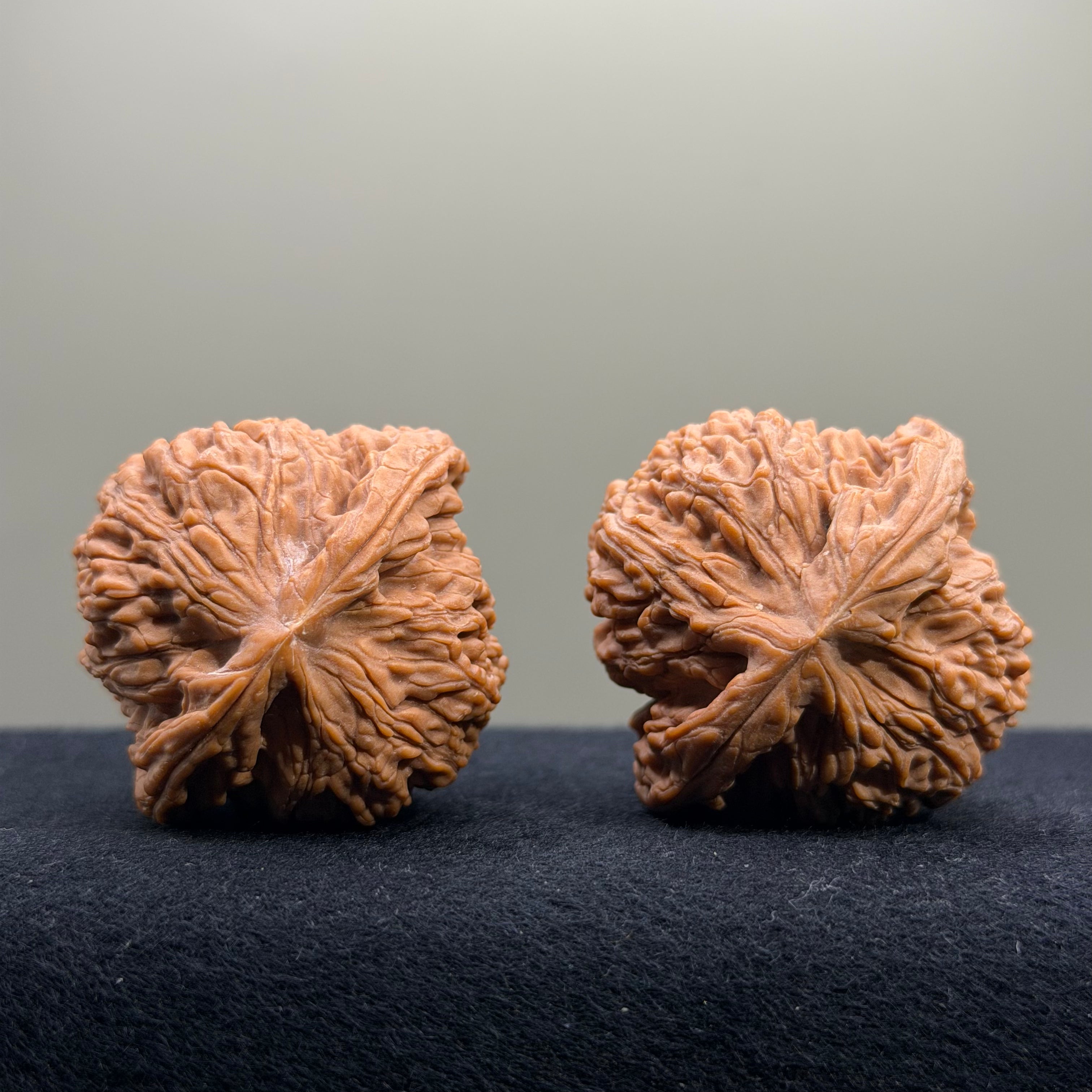 Nanjiang Stone Wenwan Walnut · 42mm · Natural · Select Ritual