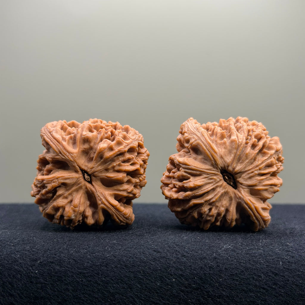 Nanjiang Stone Wenwan Walnut · 42mm · Natural · Select Ritual
