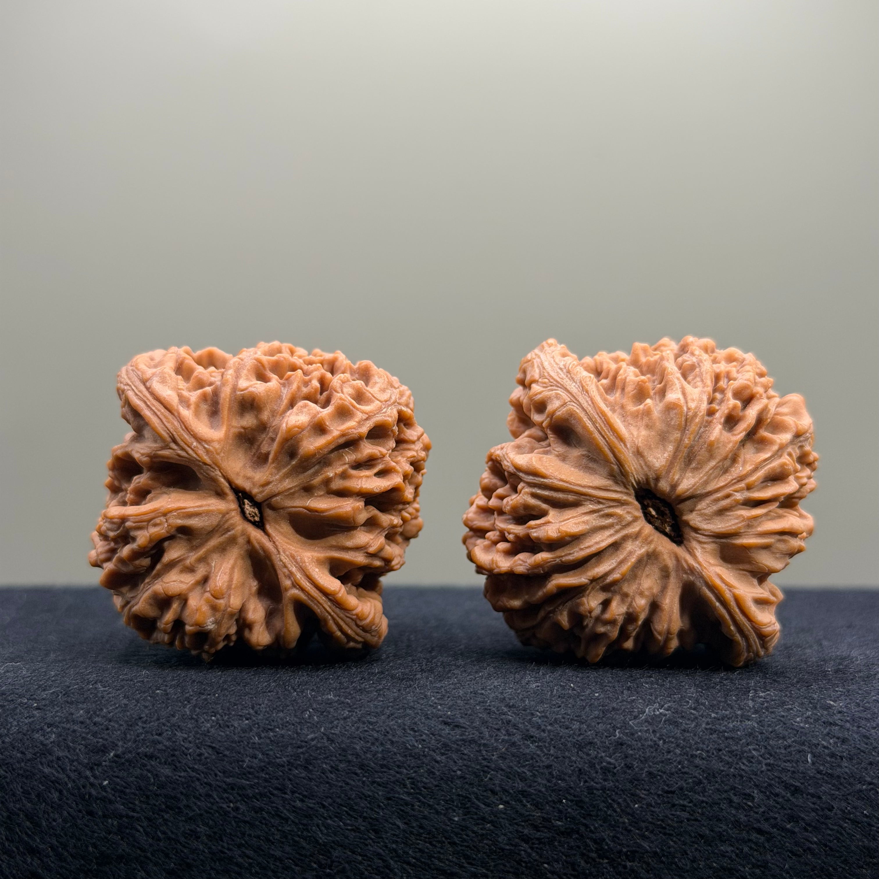 Nanjiang Stone Wenwan Walnut · 42mm · Natural · Select Ritual